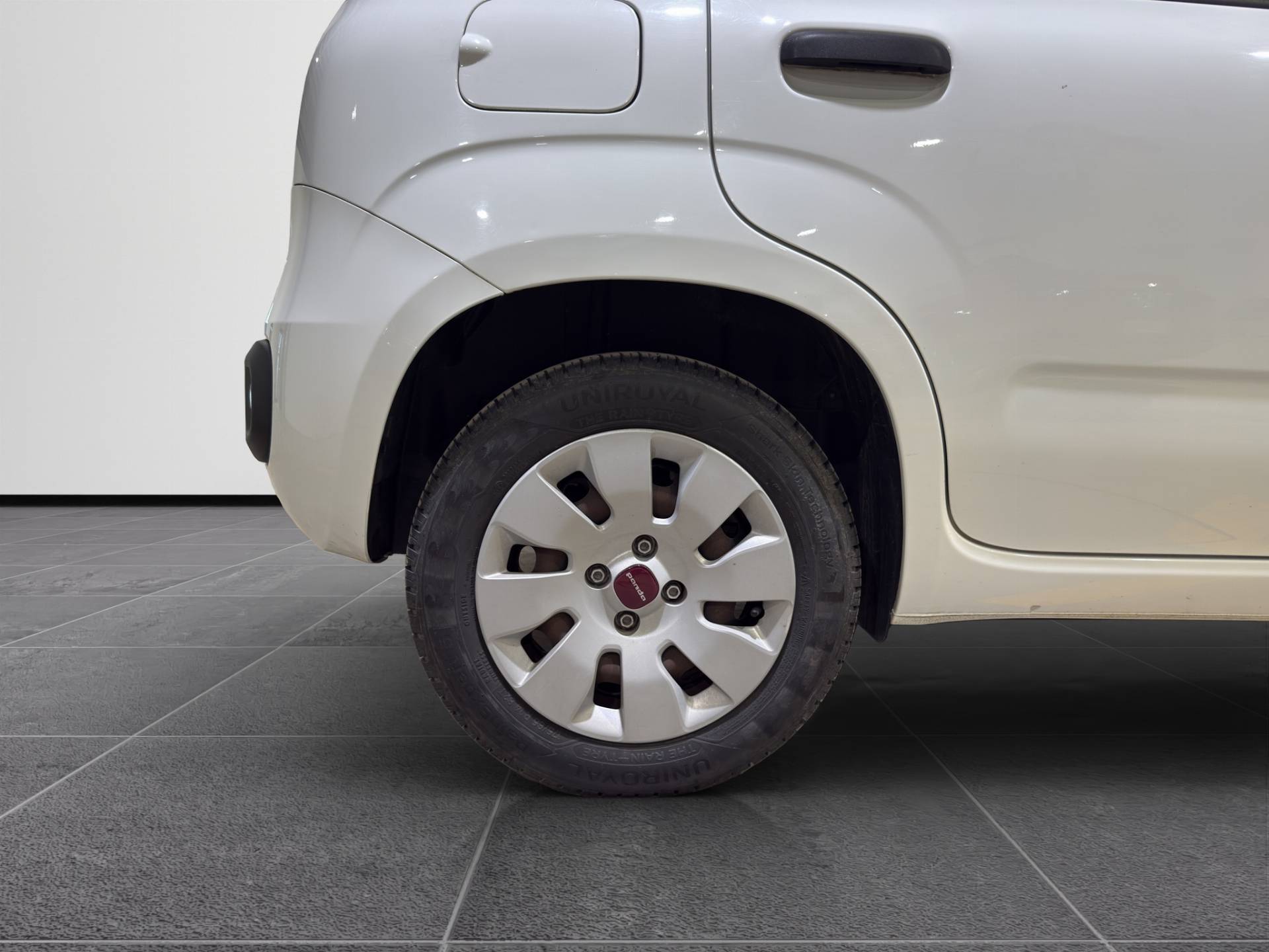 Auto Venduta - FIAT Panda Panda 1.2 Pop 69cv usata in pronta consegna - Brandini