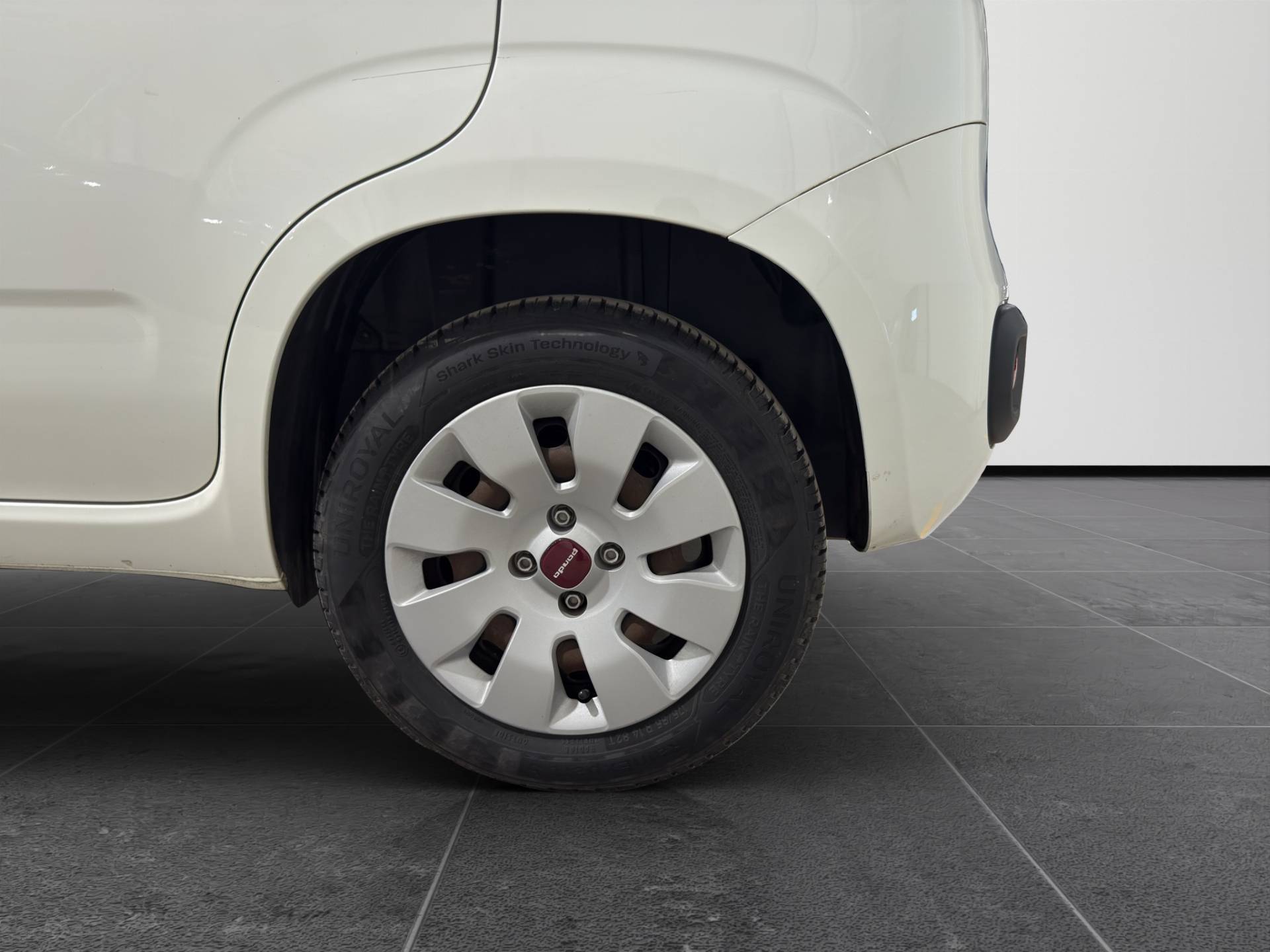 Auto Venduta - FIAT Panda Panda 1.2 Pop 69cv usata in pronta consegna - Brandini