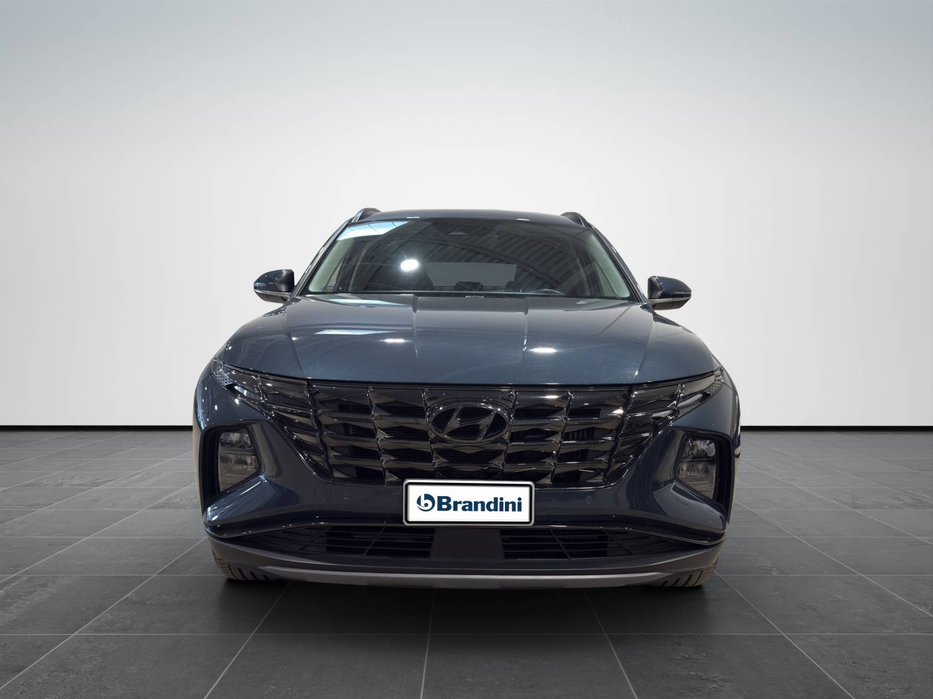HYUNDAI Tucson Tucson 1.6 hev Exellence 2wd auto usata in pronta consegna - Brandini