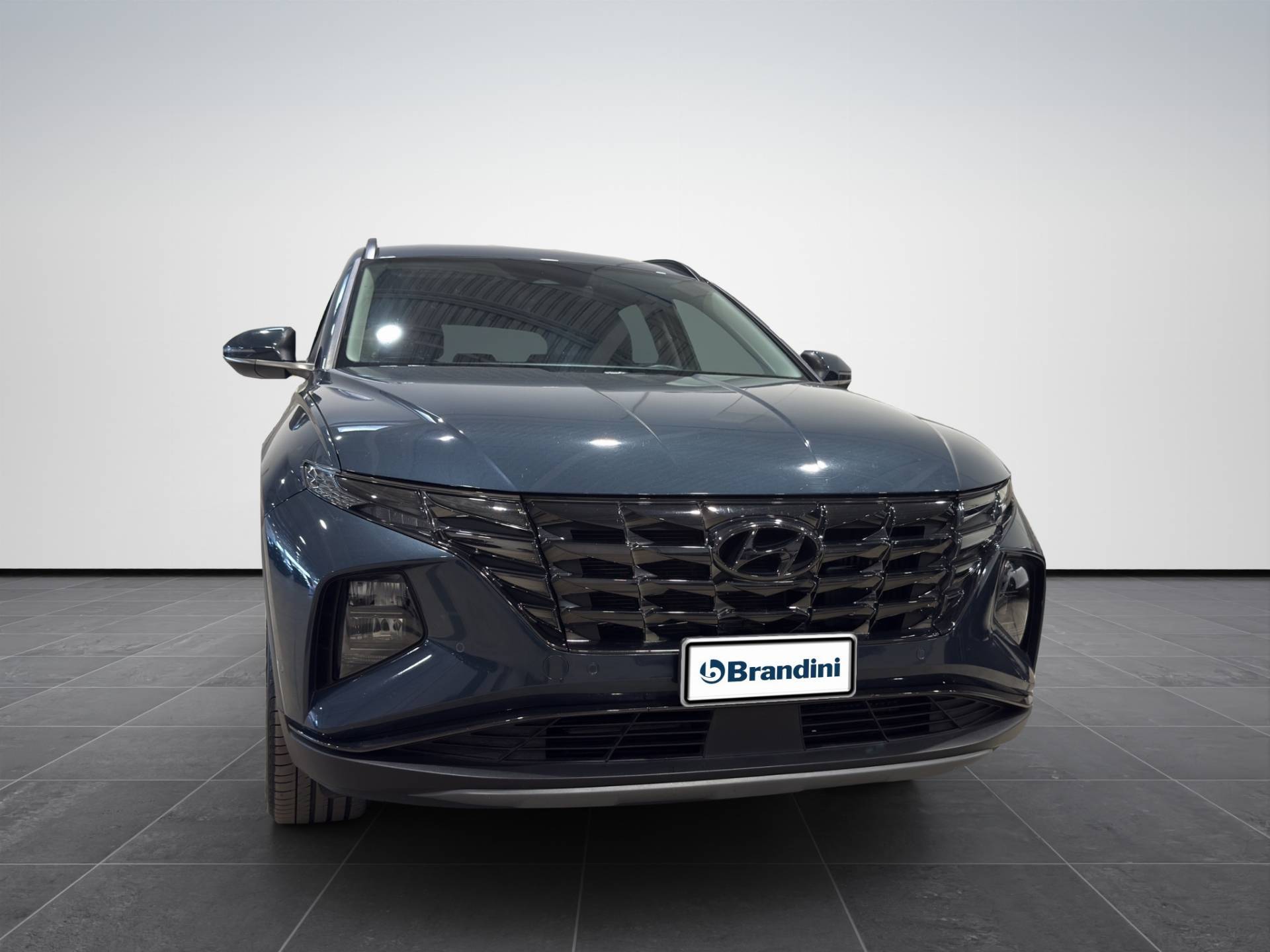 HYUNDAI Tucson Tucson 1.6 hev Exellence 2wd auto usata in pronta consegna - Brandini