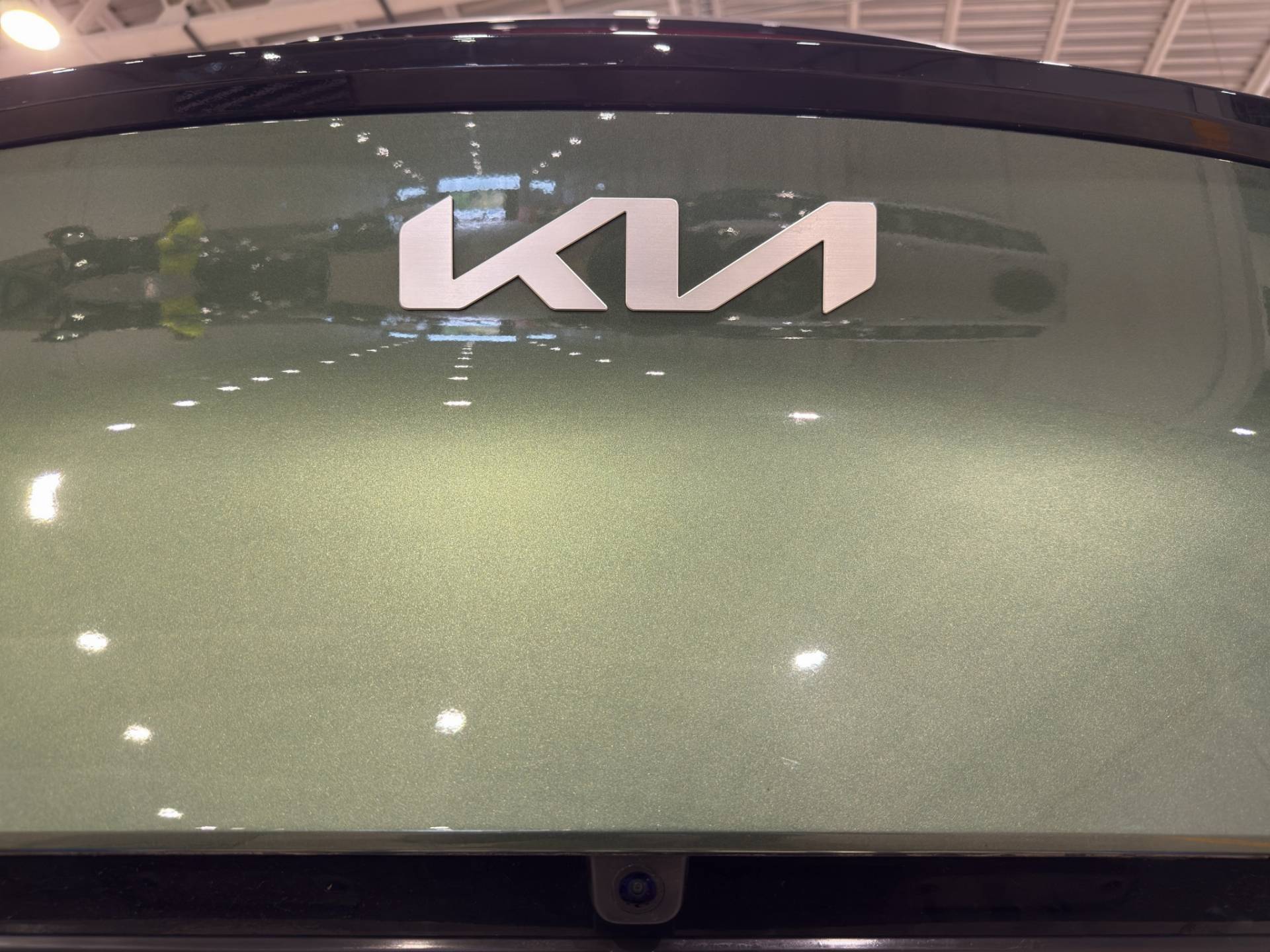 KIA Sportage Sportage 1.6 crdi mhev GT-line dct usata in pronta consegna - Brandini