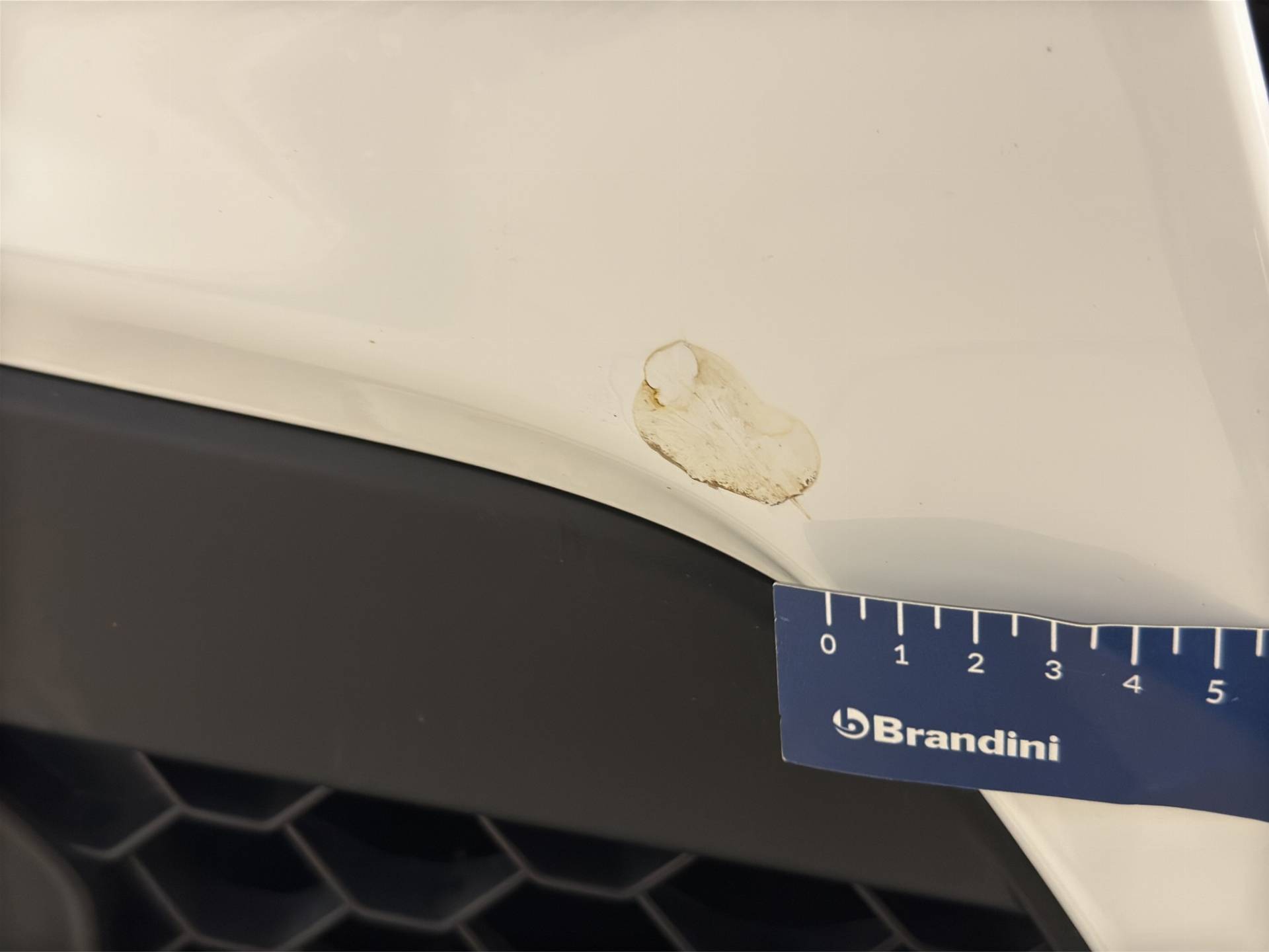 ALFA ROMEO Stelvio Stelvio 2.2 t Super rwd 150cv auto usata in pronta consegna - Brandini