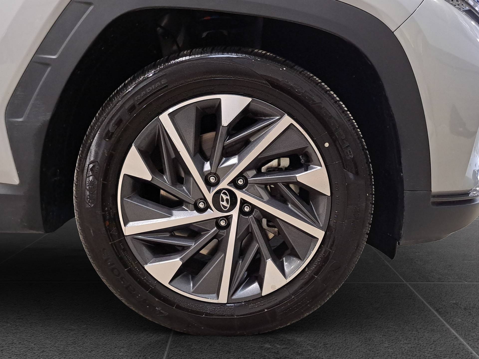Auto Venduta - HYUNDAI Tucson Tucson 1.6 t-gdi 48V Xline 2wd imt usata in pronta consegna - Brandini