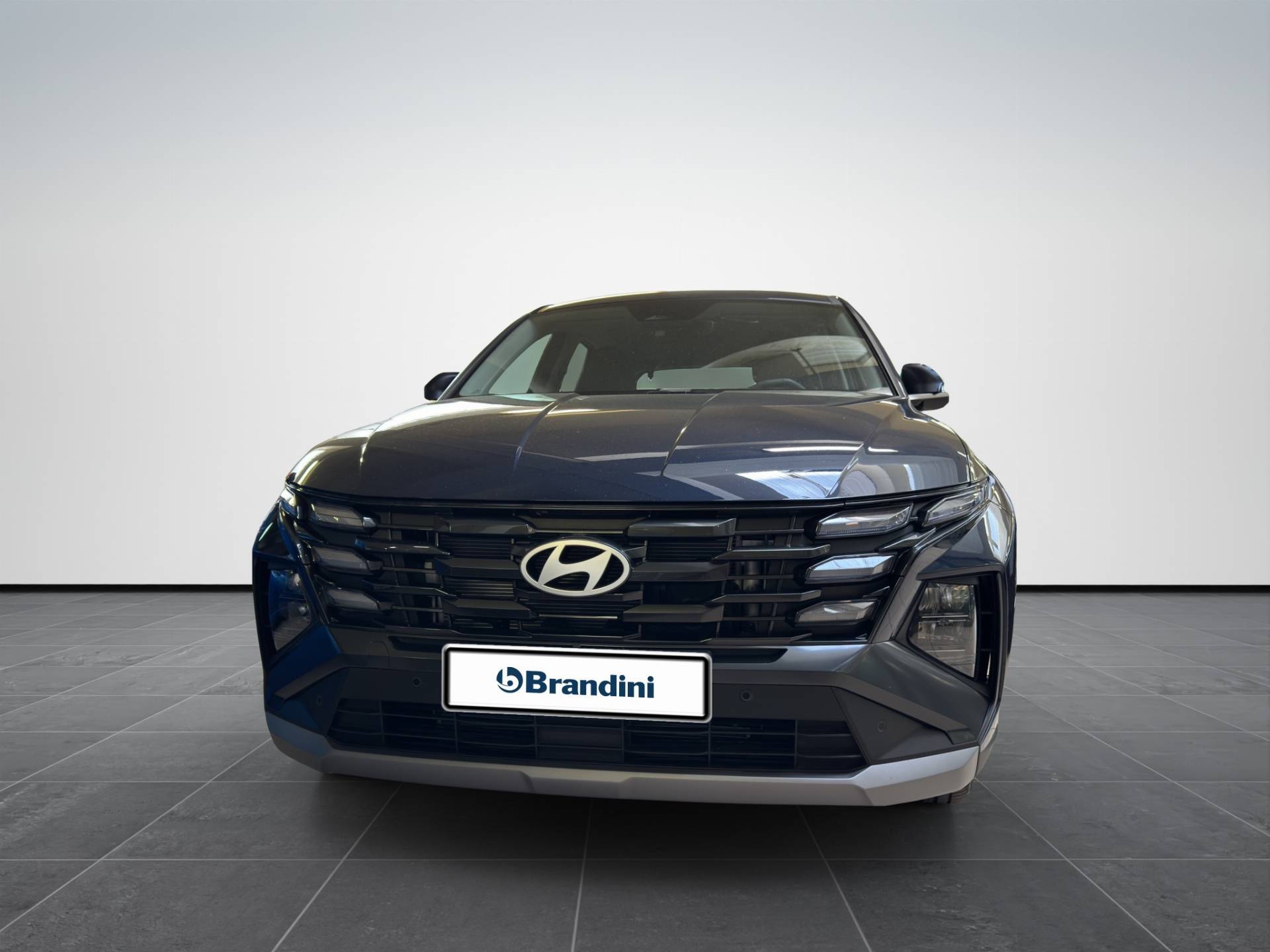 HYUNDAI Tucson Tucson 1.6 hev Xtech 2wd 239cv auto usata in pronta consegna - Brandini