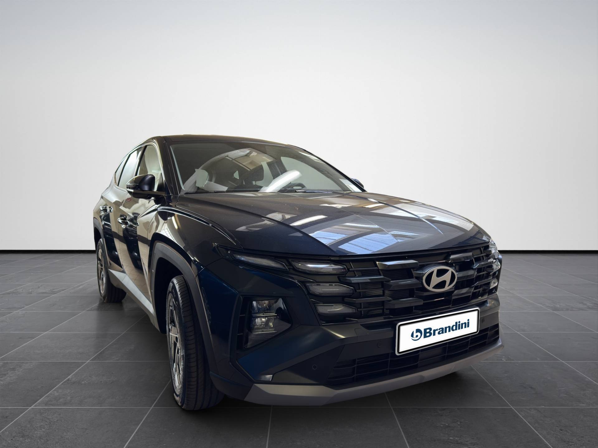 HYUNDAI Tucson Tucson 1.6 hev Xtech 2wd 239cv auto usata in pronta consegna - Brandini