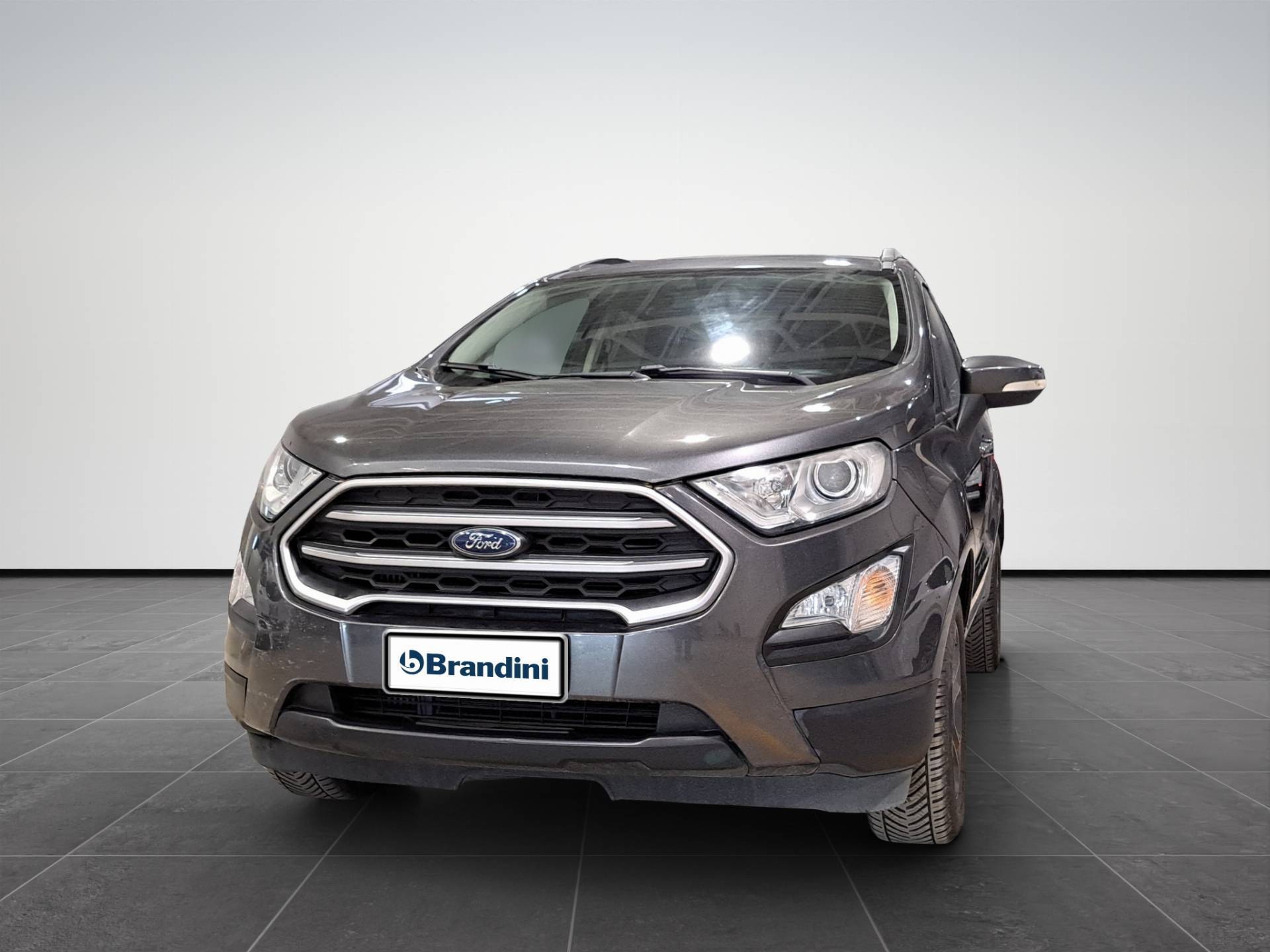 FORD EcoSport EcoSport 1.5 tdci Titanium s&s 100cv usata in pronta consegna - Brandini