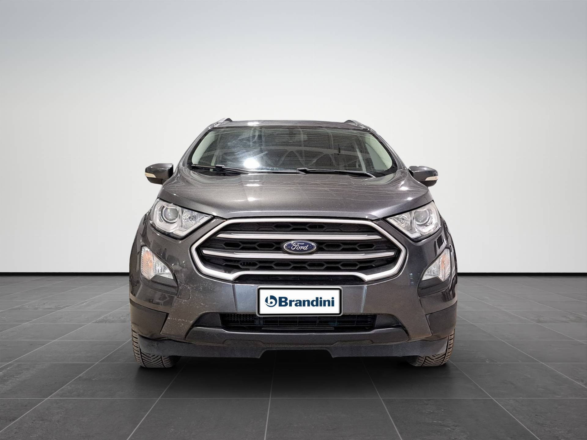 FORD EcoSport EcoSport 1.5 tdci Titanium s&s 100cv usata in pronta consegna - Brandini