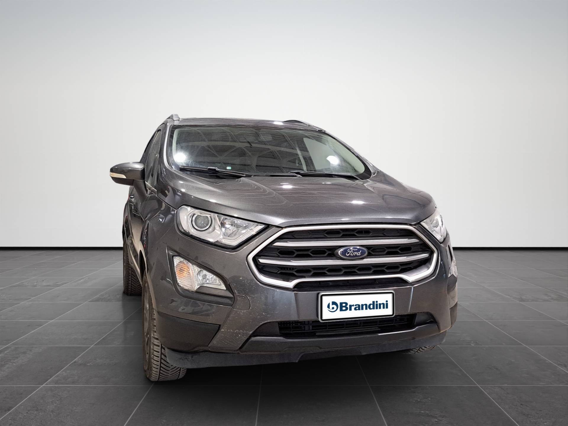FORD EcoSport EcoSport 1.5 tdci Titanium s&s 100cv usata in pronta consegna - Brandini