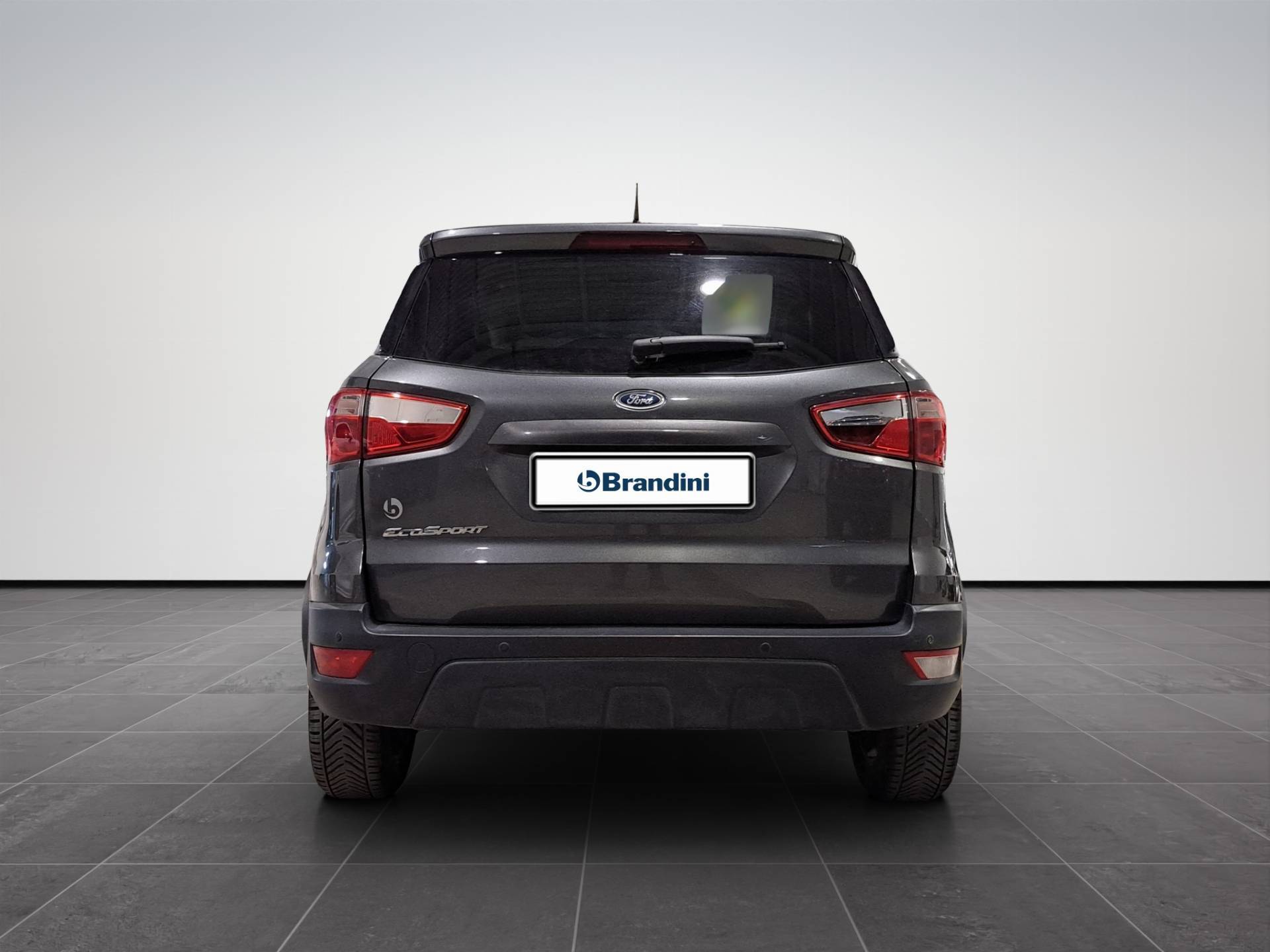 FORD EcoSport EcoSport 1.5 tdci Titanium s&s 100cv usata in pronta consegna - Brandini
