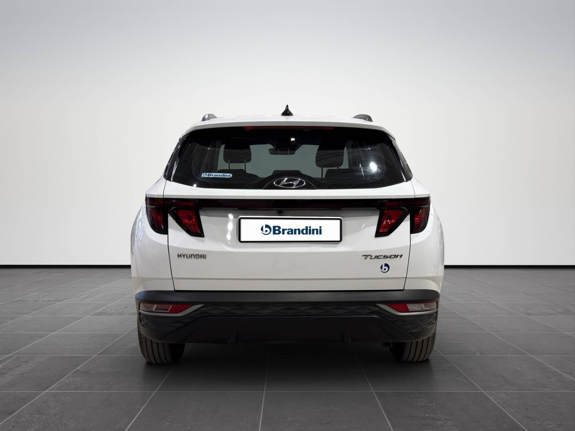 HYUNDAI Tucson Tucson 1.6 t-gdi 48V Xtech 2wd imt usata in pronta consegna - Brandini