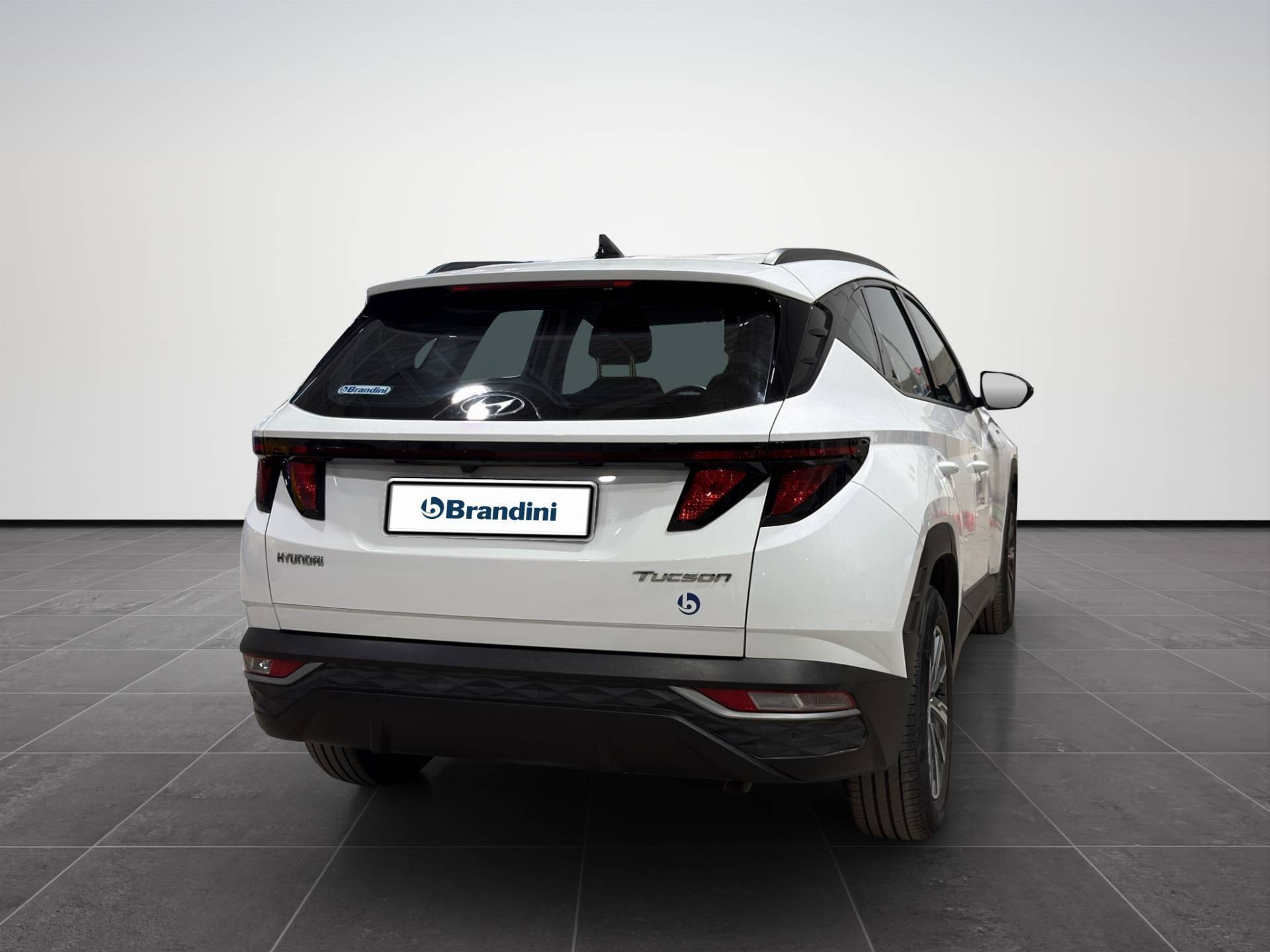 HYUNDAI Tucson Tucson 1.6 t-gdi 48V Xtech 2wd imt usata in pronta consegna - Brandini