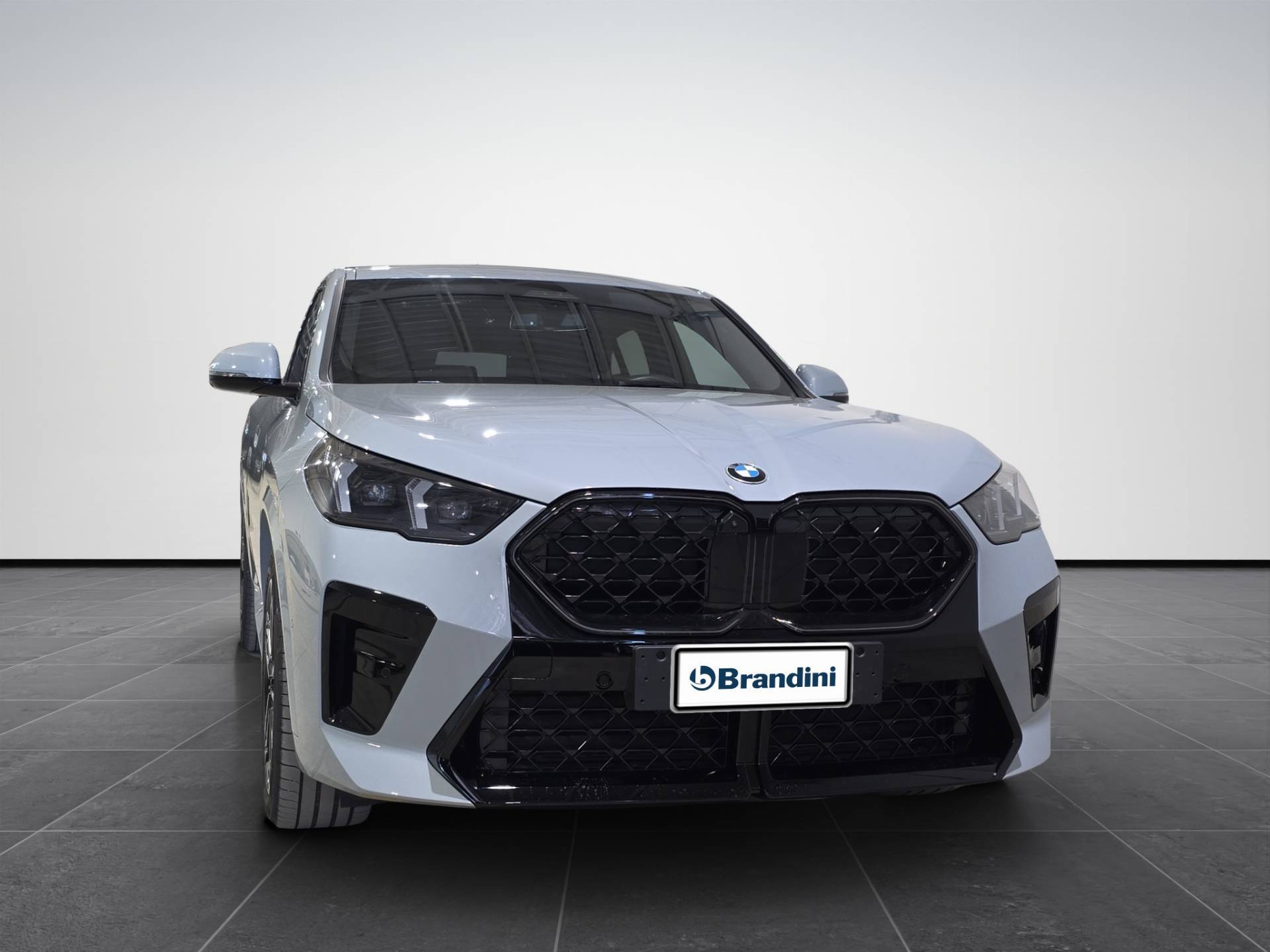 BMW X2 X2 xdrive 20d 48V MSport Pro auto usata in pronta consegna - Brandini