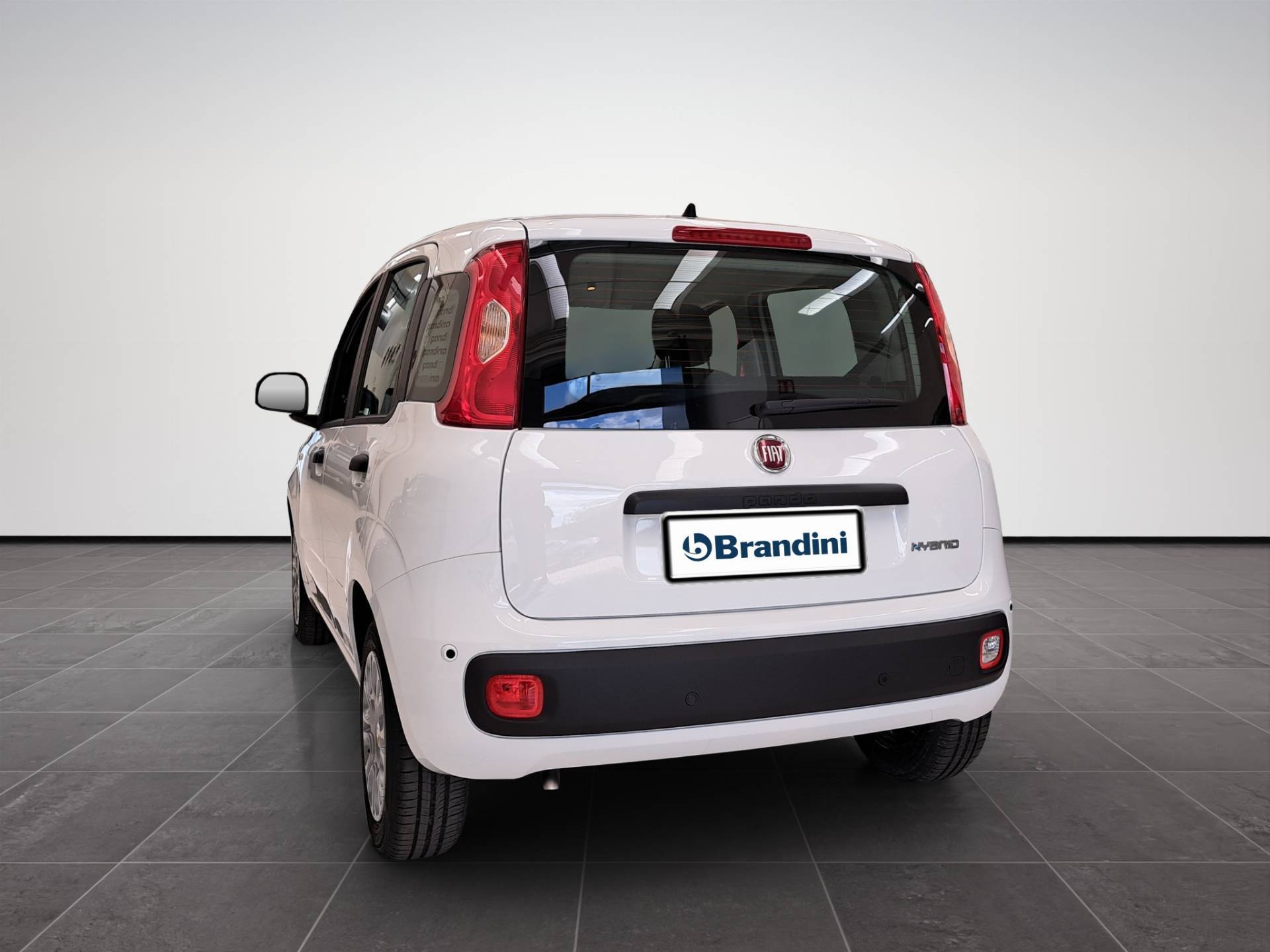 FIAT Panda Pandina 1.0 firefly hybrid Pop s&s 65cv usata in pronta consegna - Brandini