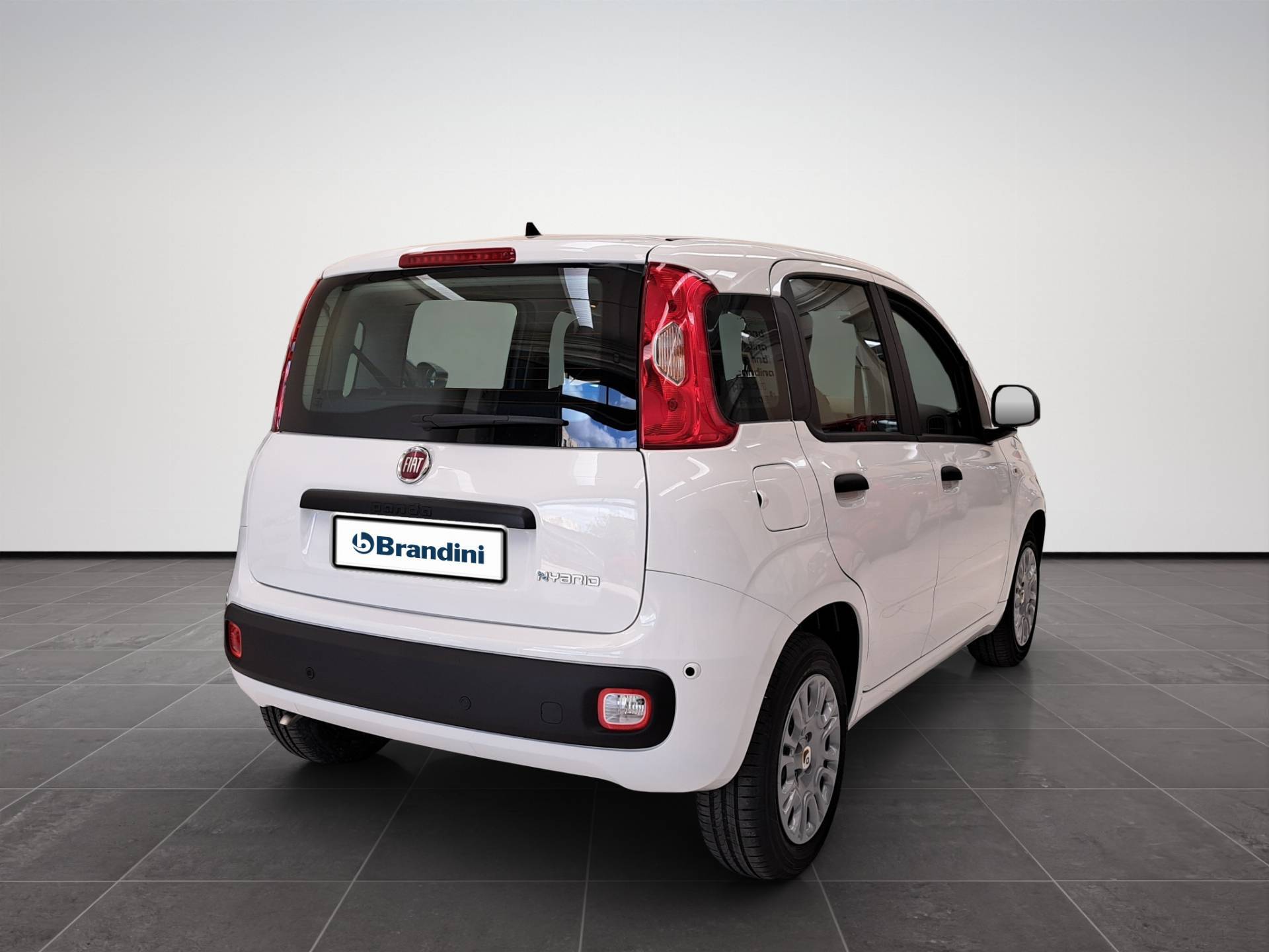 FIAT Panda Pandina 1.0 firefly hybrid Pop s&s 65cv usata in pronta consegna - Brandini