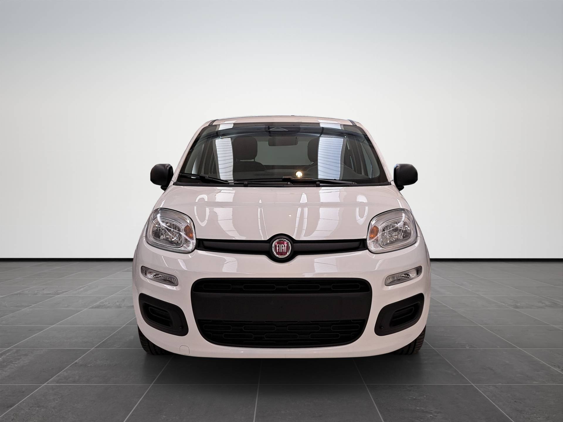 FIAT Panda Pandina 1.0 firefly hybrid Pop s&s 65cv usata in pronta consegna - Brandini