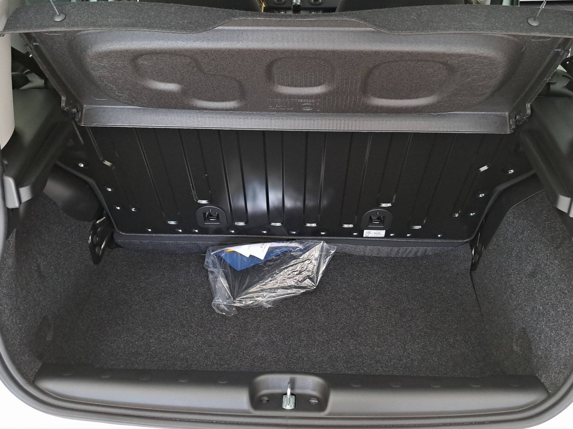 FIAT Panda Pandina 1.0 firefly hybrid Pop s&s 65cv usata in pronta consegna - Brandini