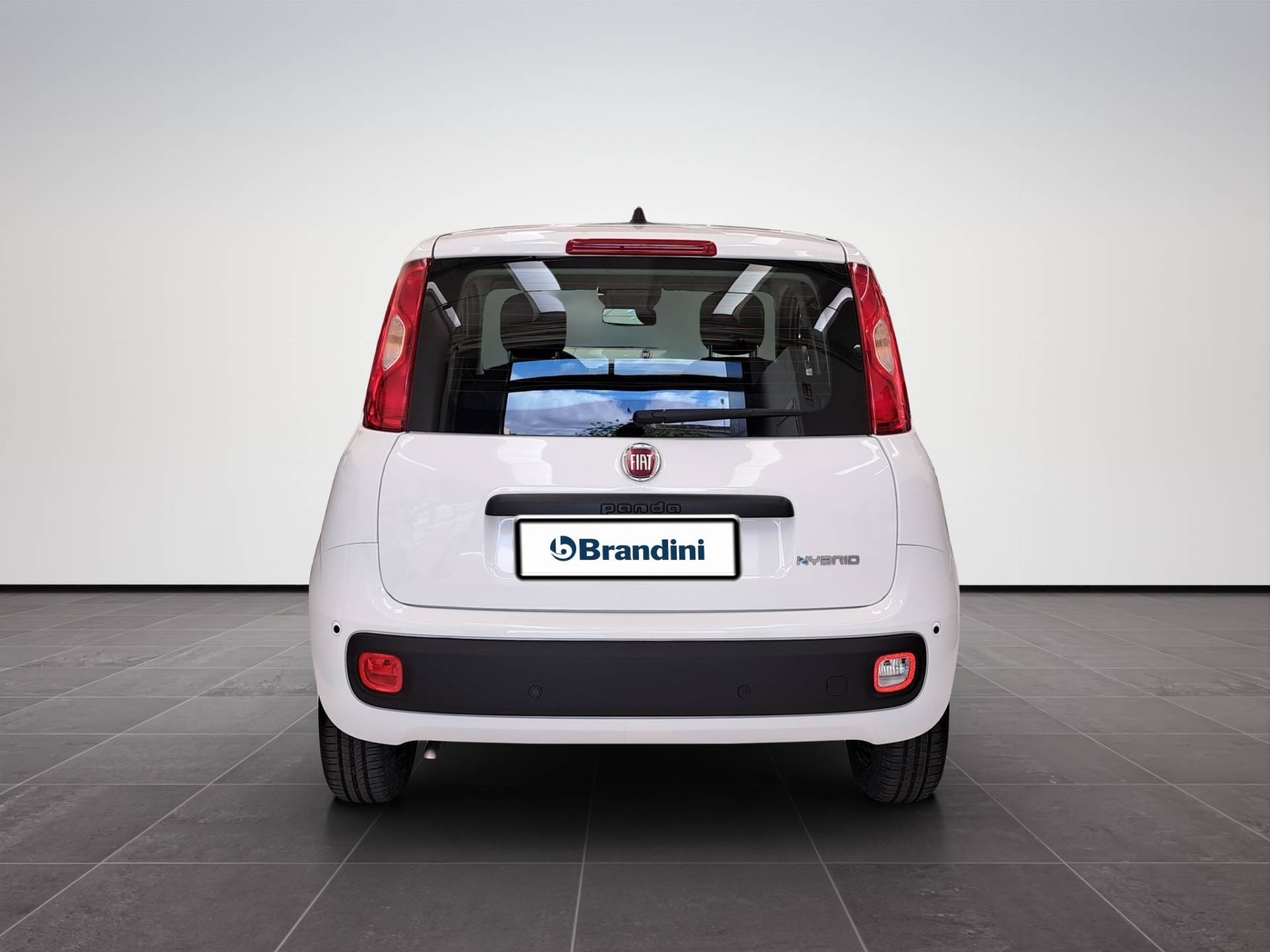 FIAT Panda Pandina 1.0 firefly hybrid Pop s&s 65cv usata in pronta consegna - Brandini