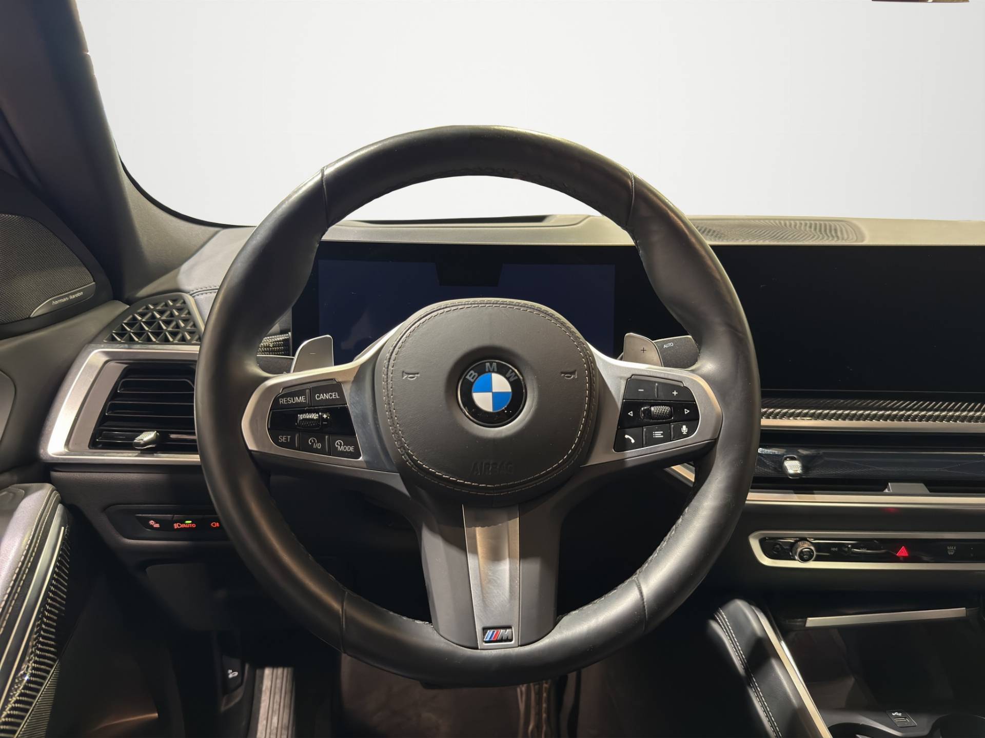 BMW X6 X6 xdrive30d MSport Pro auto usata in pronta consegna - Brandini