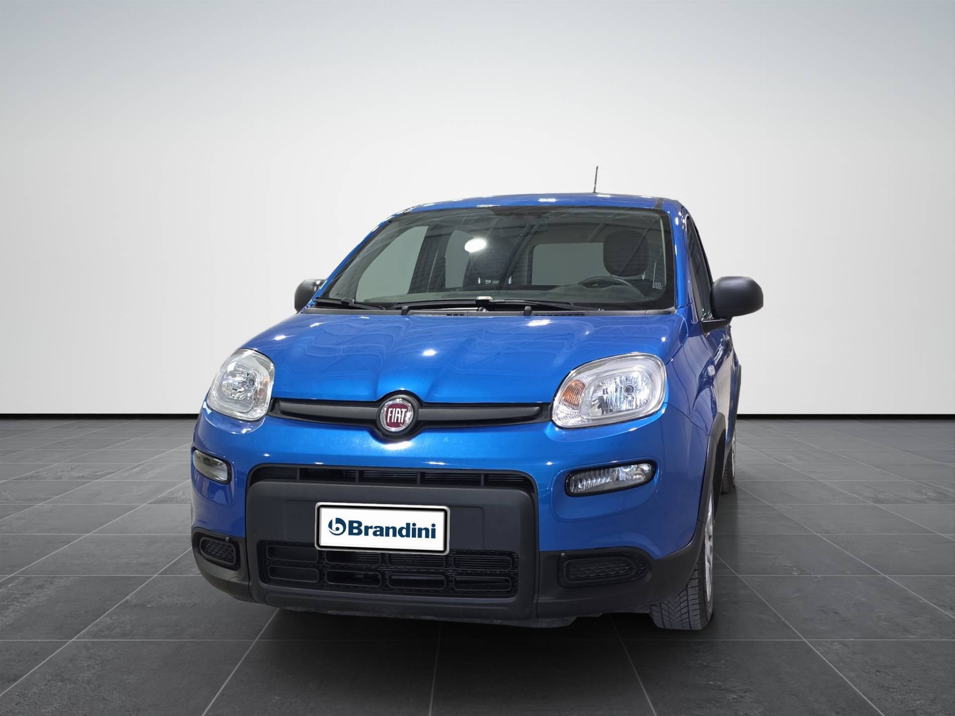 FIAT Panda Panda 1.0 firefly hybrid s&s 70cv usata in pronta consegna - Brandini