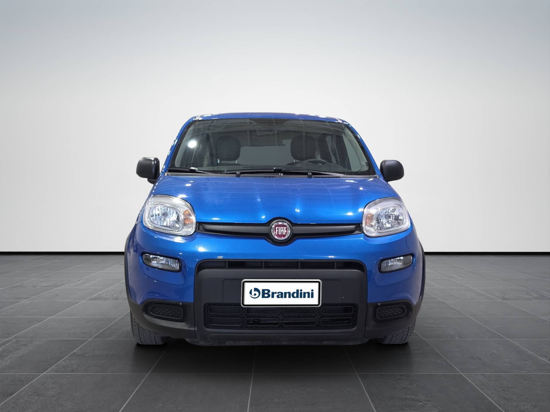 FIAT Panda Panda 1.0 firefly hybrid s&s 70cv usata in pronta consegna - Brandini