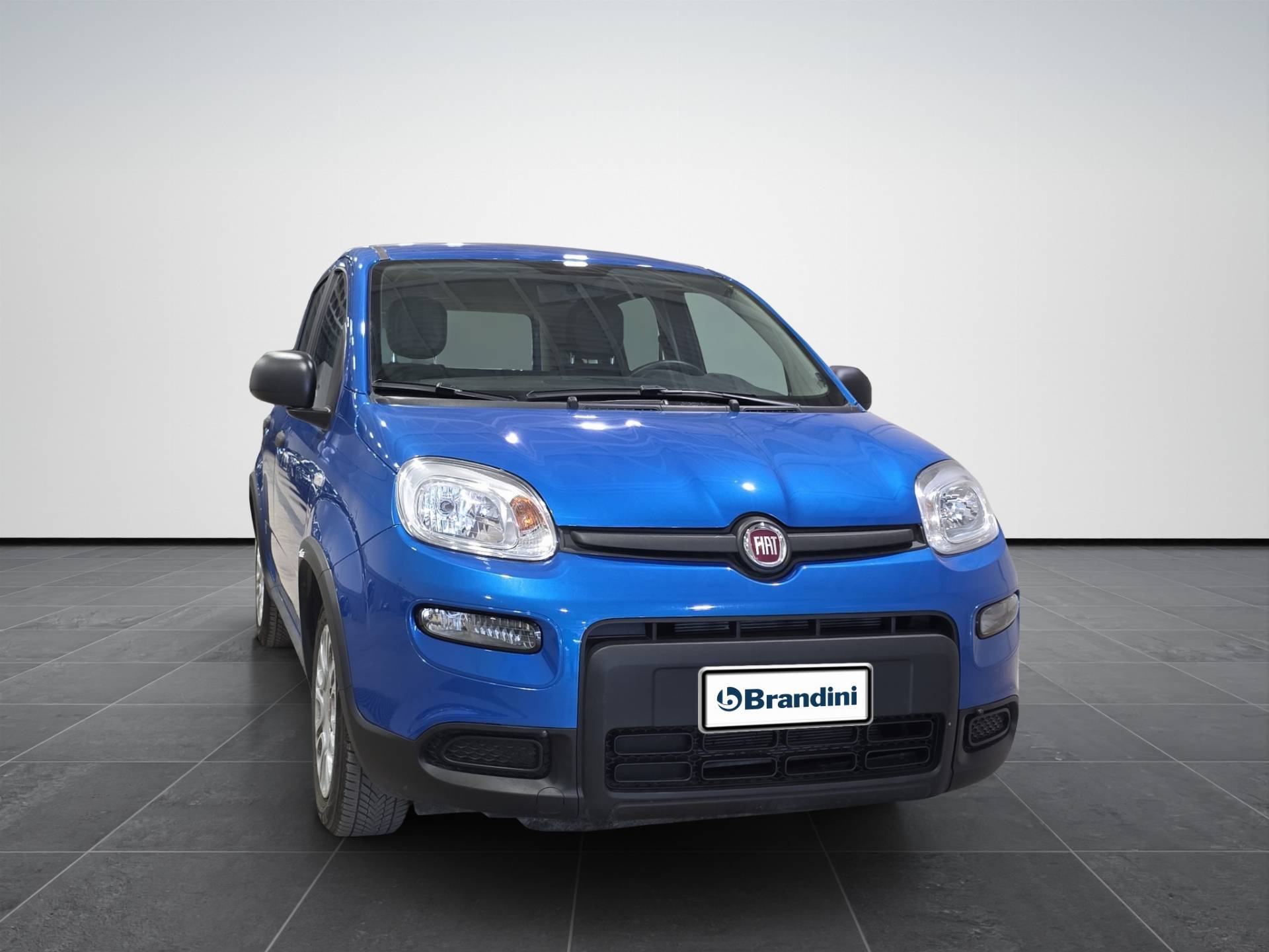 FIAT Panda Panda 1.0 firefly hybrid s&s 70cv usata in pronta consegna - Brandini