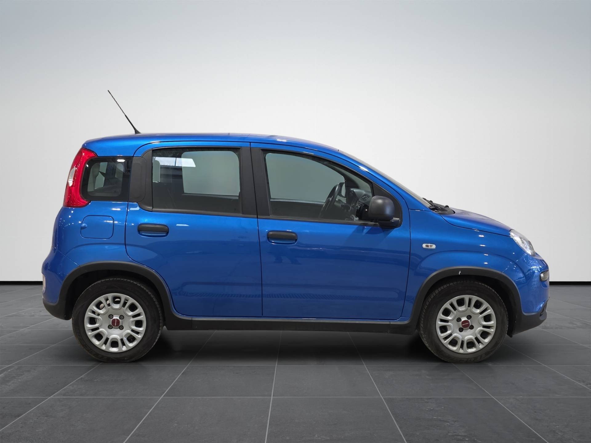 FIAT Panda Panda 1.0 firefly hybrid s&s 70cv usata in pronta consegna - Brandini