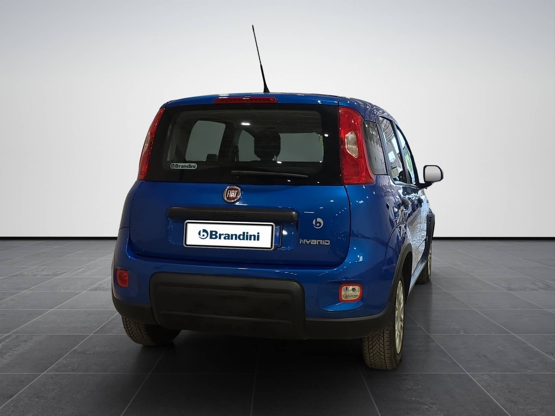 FIAT Panda Panda 1.0 firefly hybrid s&s 70cv usata in pronta consegna - Brandini