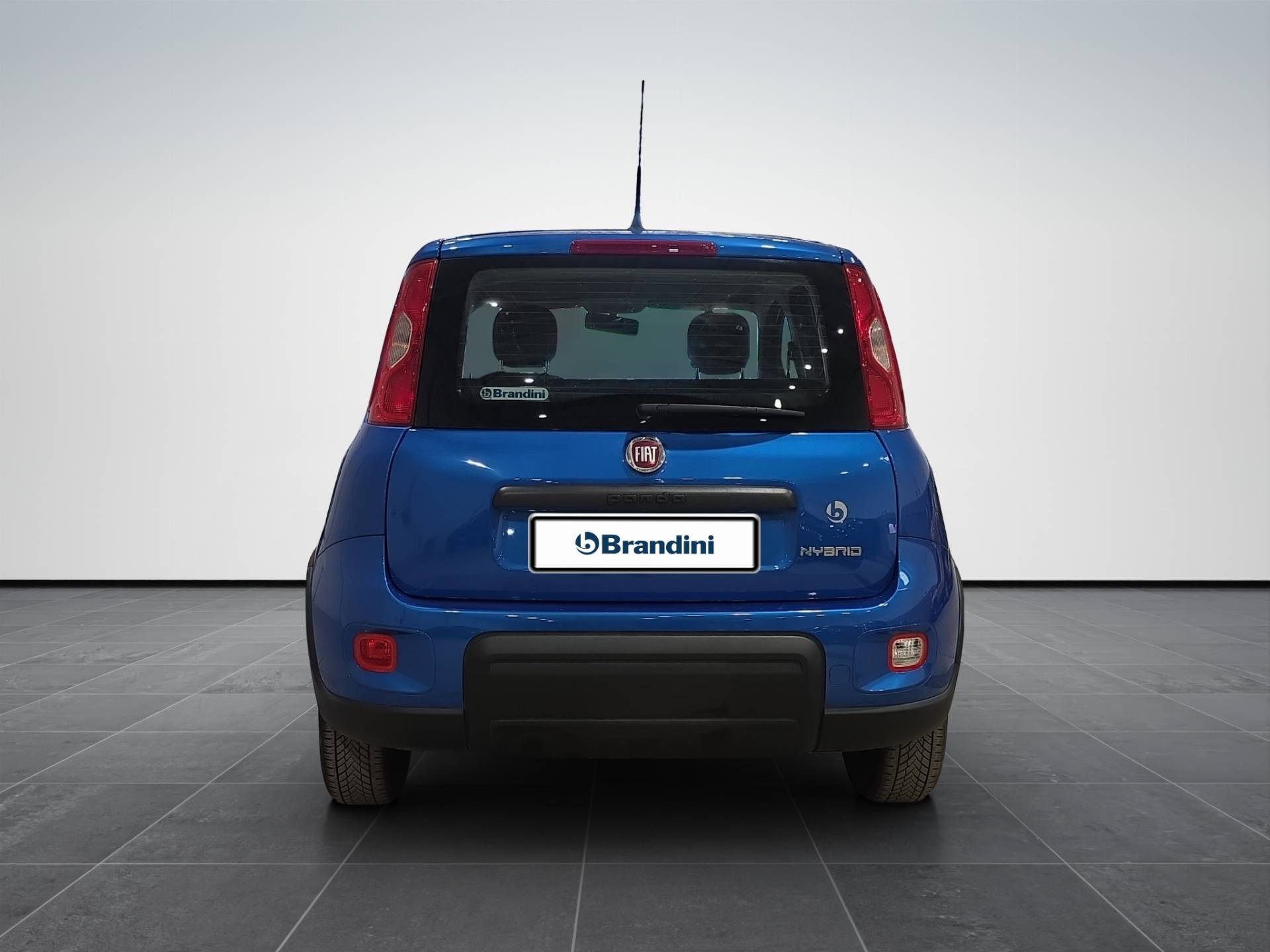 FIAT Panda Panda 1.0 firefly hybrid s&s 70cv usata in pronta consegna - Brandini
