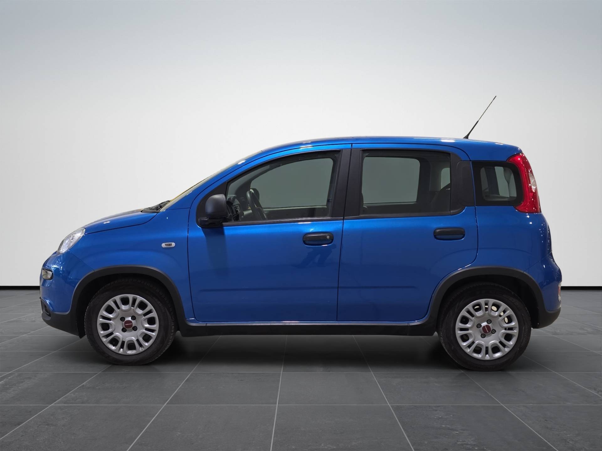 FIAT Panda Panda 1.0 firefly hybrid s&s 70cv usata in pronta consegna - Brandini
