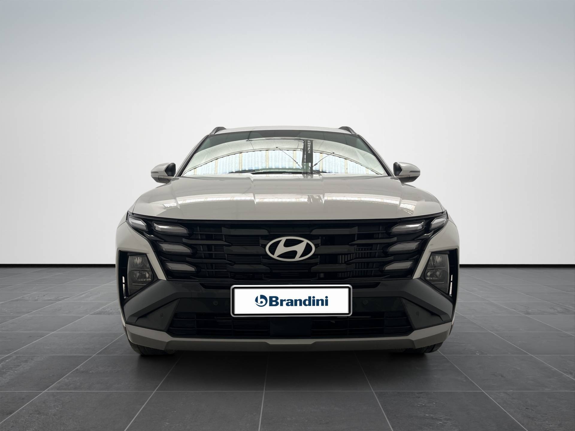 Auto Venduta - HYUNDAI Tucson Tucson 1.6 crdi 48V Business 2wd dct usata in pronta consegna - Brandini