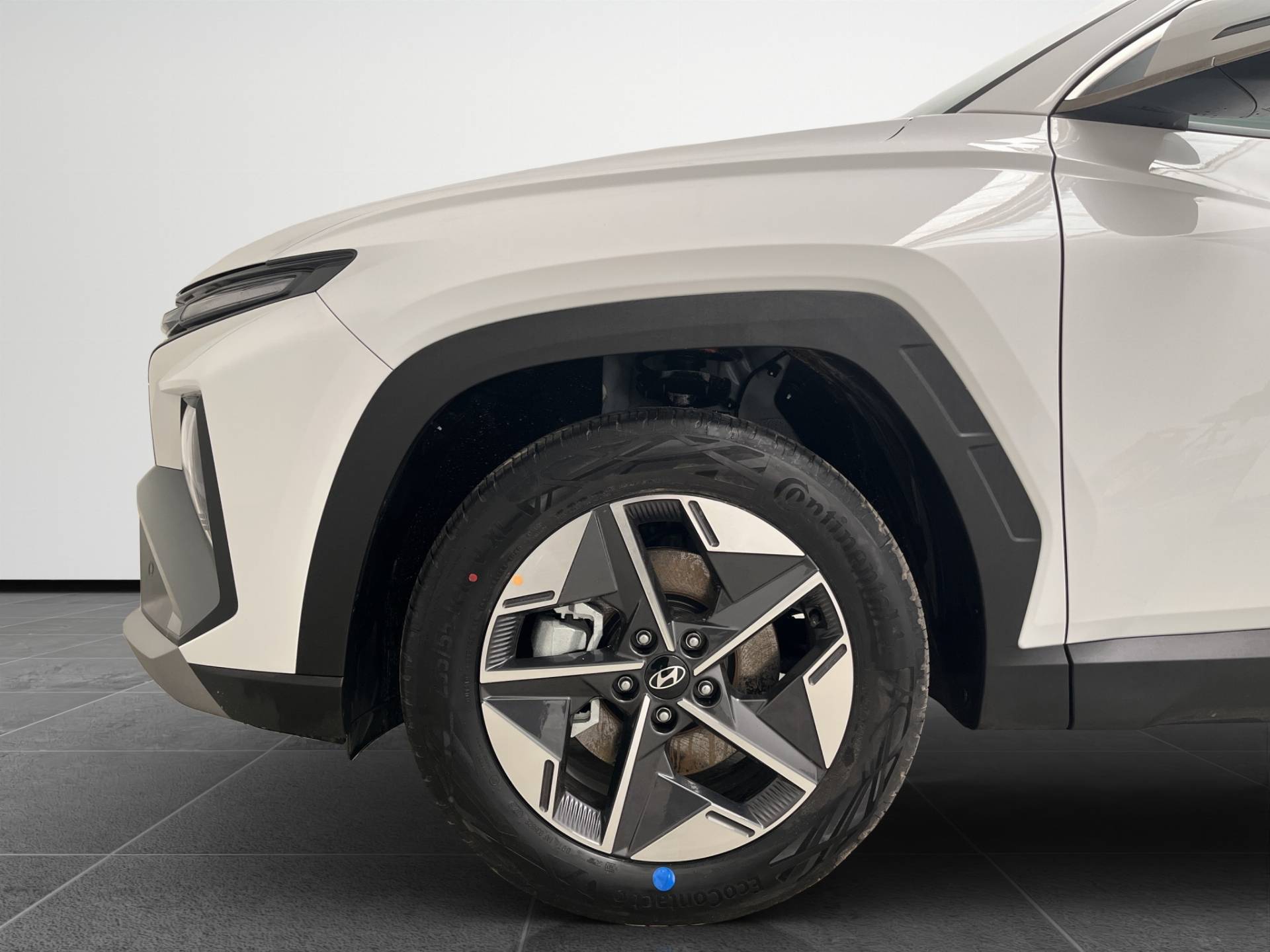 Auto Venduta - HYUNDAI Tucson Tucson 1.6 crdi 48V Business 2wd dct usata in pronta consegna - Brandini