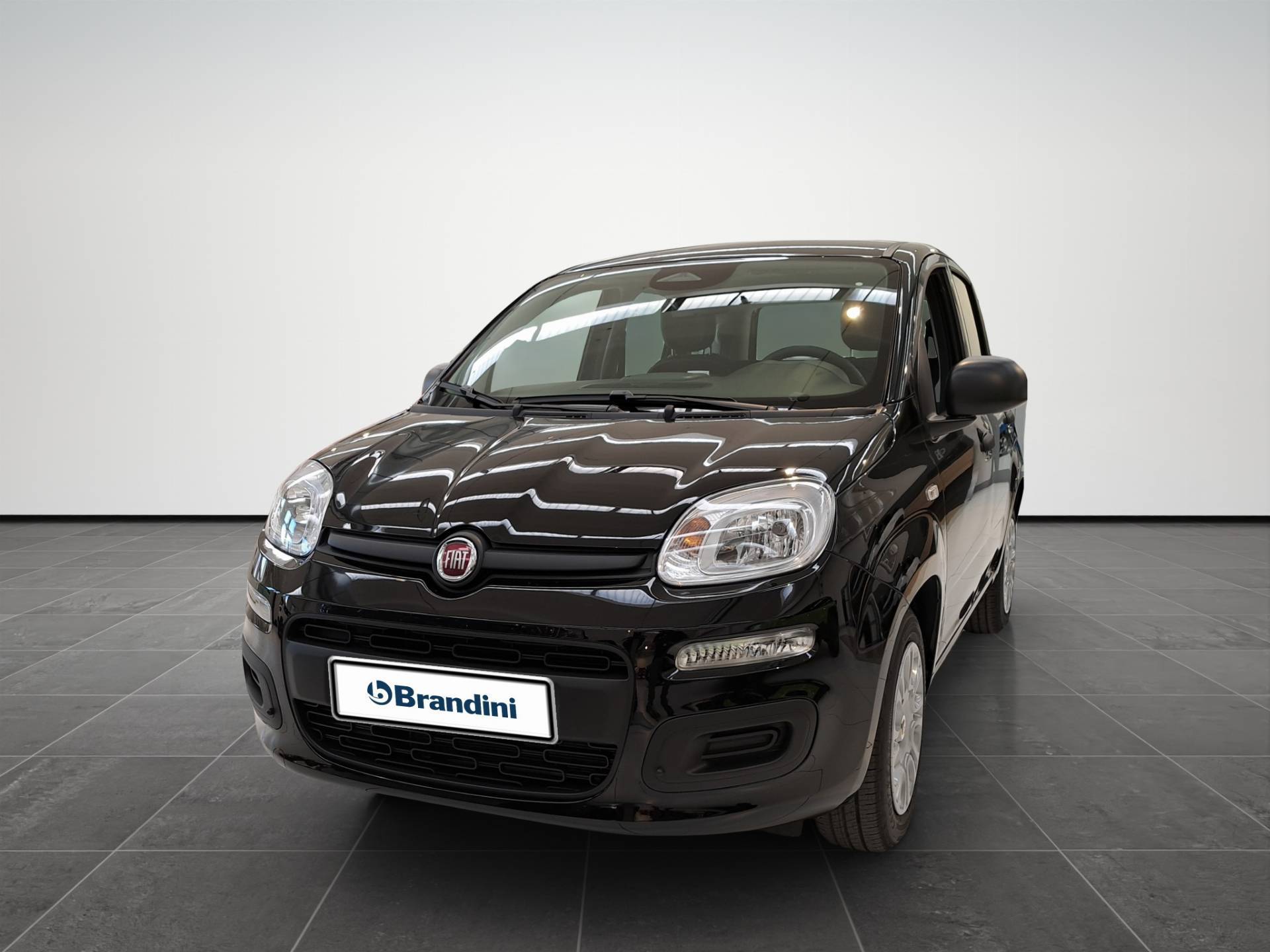 FIAT Panda Pandina 1.0 firefly hybrid Icon s&s 65cv usata in pronta consegna - Brandini