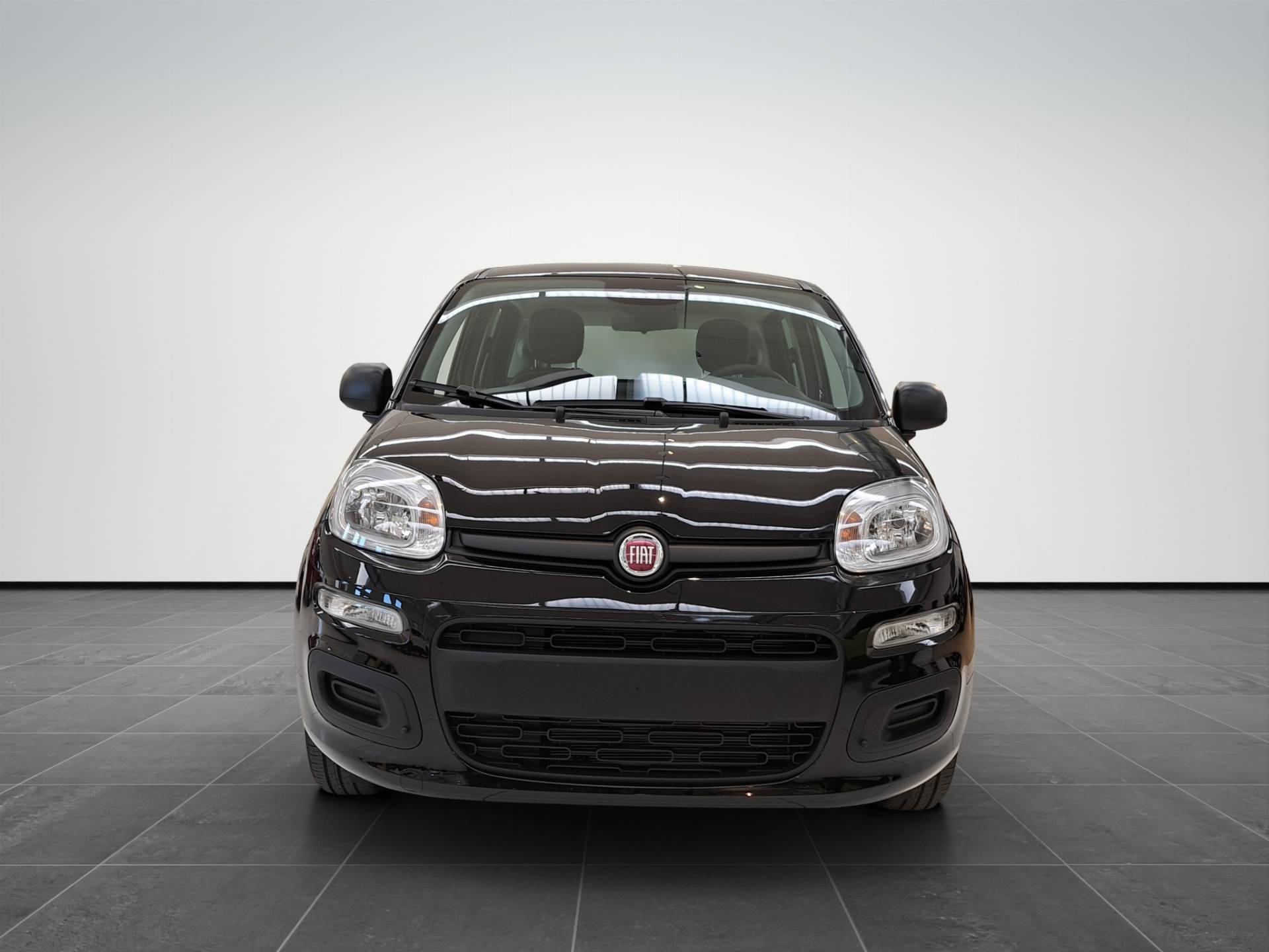 FIAT Panda Pandina 1.0 firefly hybrid Icon s&s 65cv usata in pronta consegna - Brandini