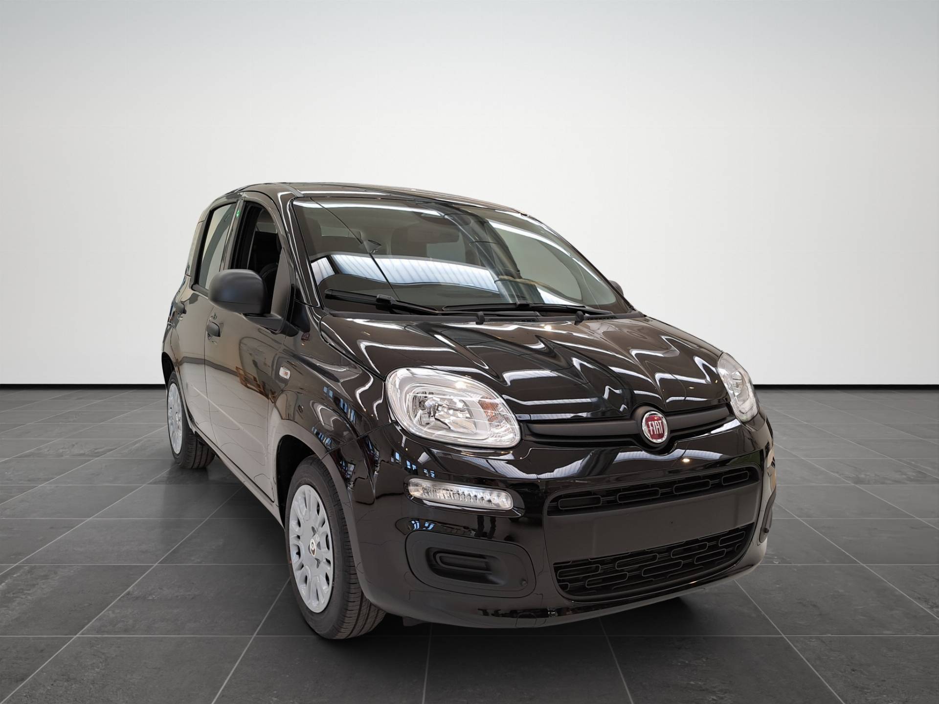FIAT Panda Pandina 1.0 firefly hybrid Icon s&s 65cv usata in pronta consegna - Brandini