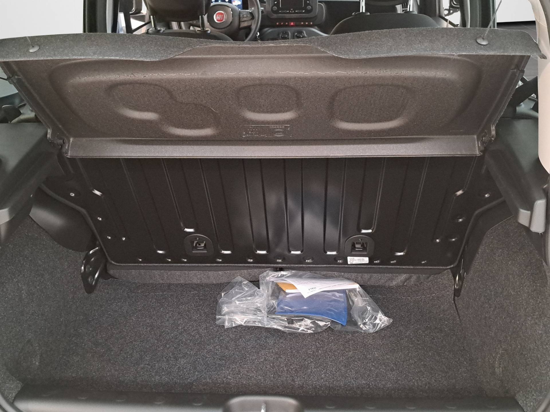 FIAT Panda Pandina 1.0 firefly hybrid Icon s&s 65cv usata in pronta consegna - Brandini