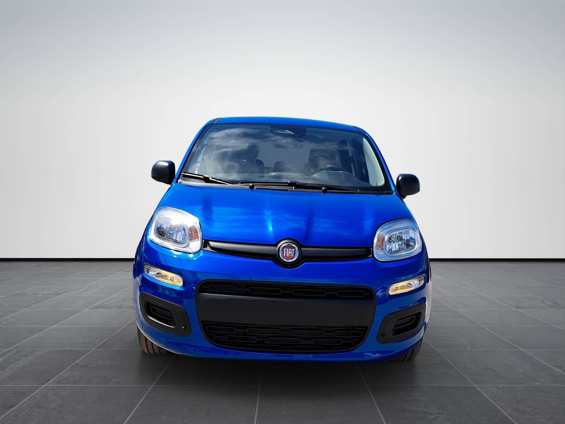 FIAT Panda Pandina 1.0 firefly hybrid Icon s&s 65cv 5p.ti usata in pronta consegna - Brandini