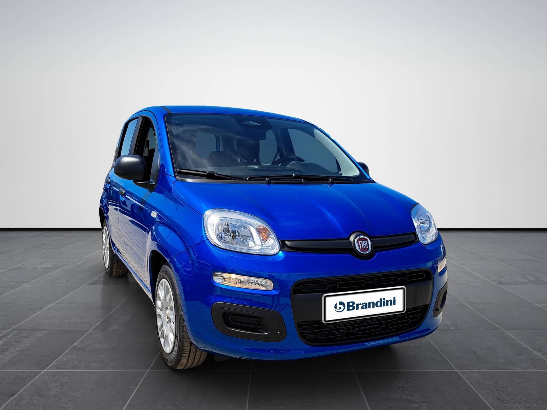 FIAT Panda Pandina 1.0 firefly hybrid Icon s&s 65cv 5p.ti usata in pronta consegna - Brandini