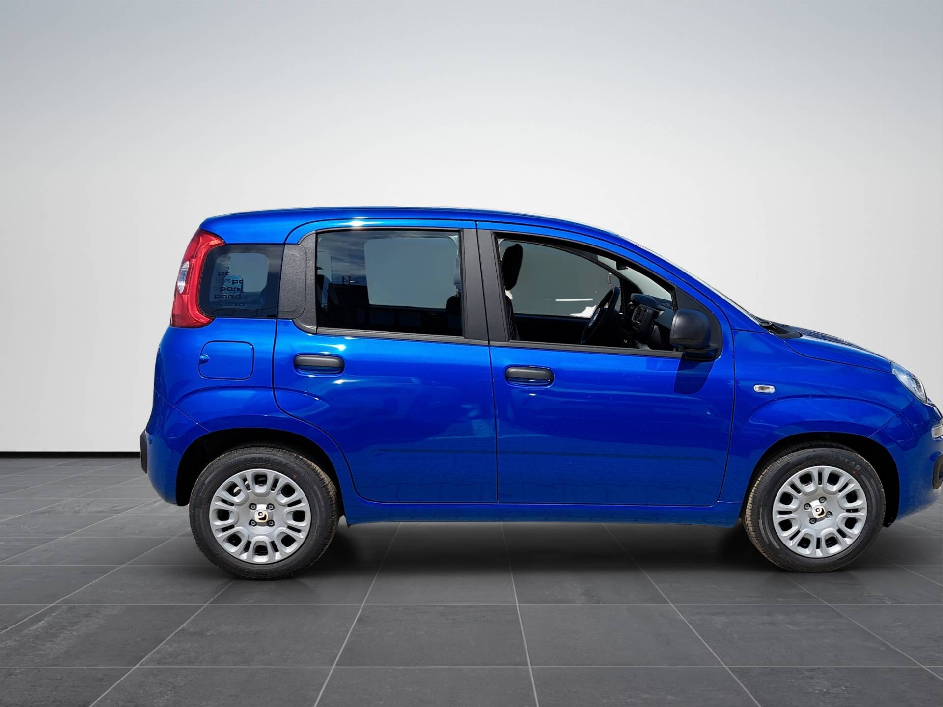 FIAT Panda Pandina 1.0 firefly hybrid Icon s&s 65cv 5p.ti usata in pronta consegna - Brandini