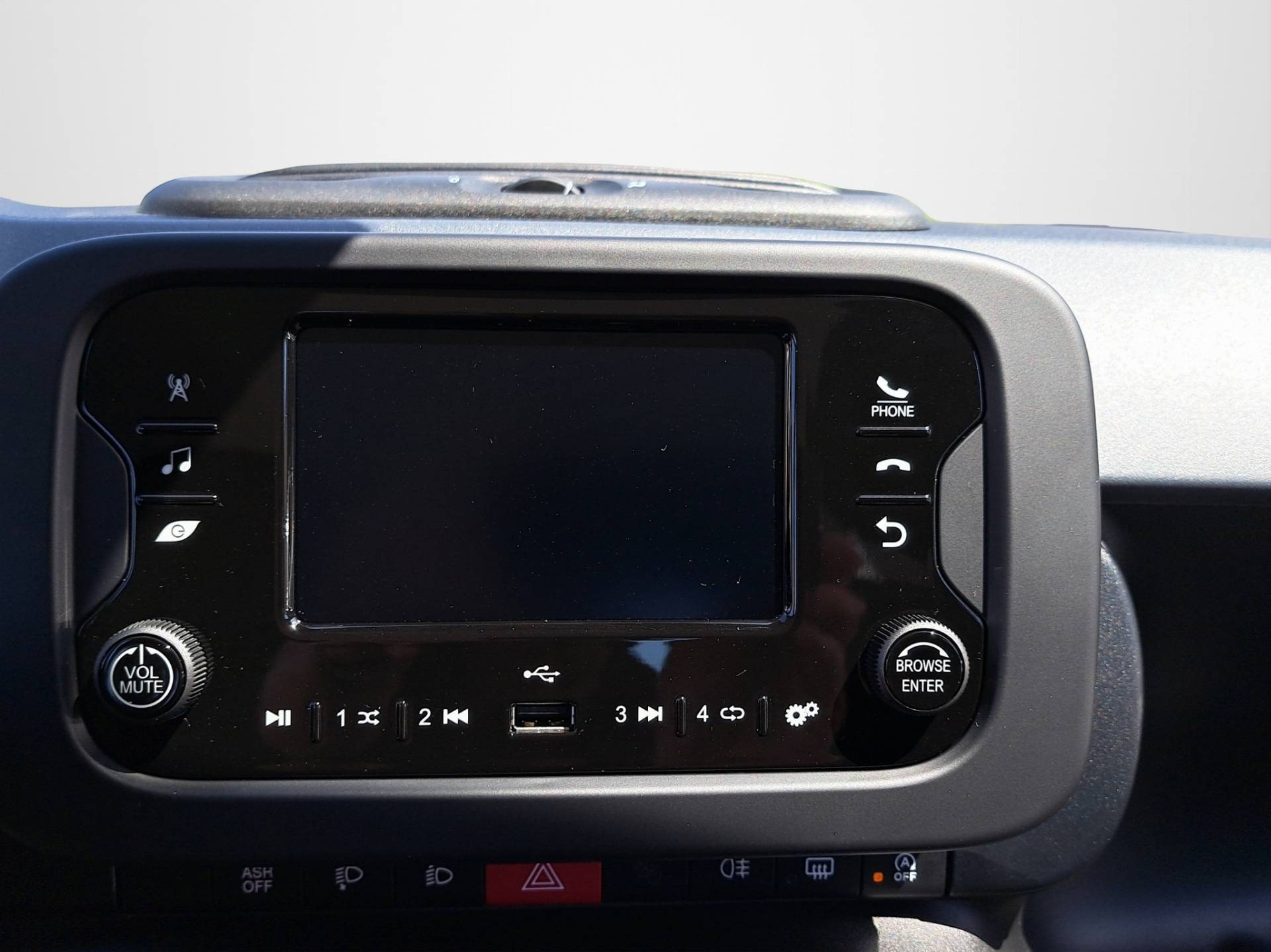 FIAT Panda Pandina 1.0 firefly hybrid Icon s&s 65cv 5p.ti usata in pronta consegna - Brandini