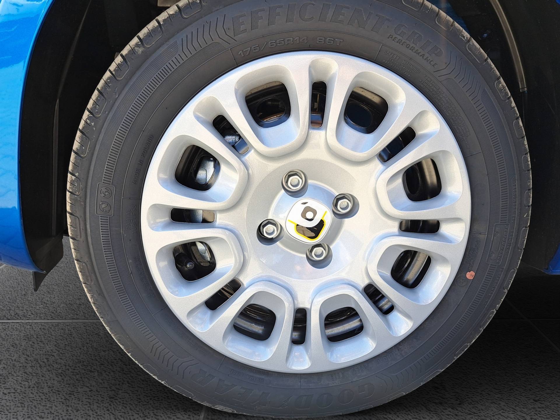 FIAT Panda Pandina 1.0 firefly hybrid Icon s&s 65cv 5p.ti usata in pronta consegna - Brandini