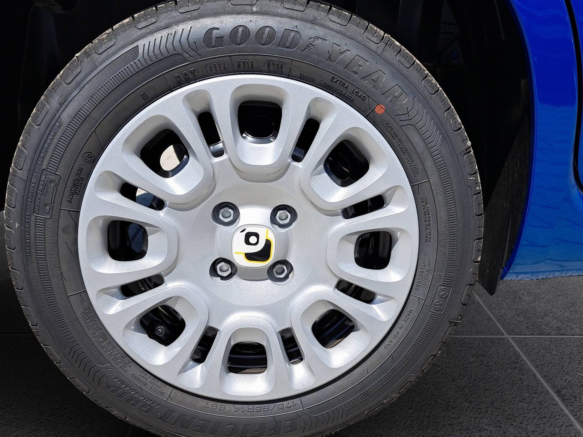 FIAT Panda Pandina 1.0 firefly hybrid Icon s&s 65cv 5p.ti usata in pronta consegna - Brandini