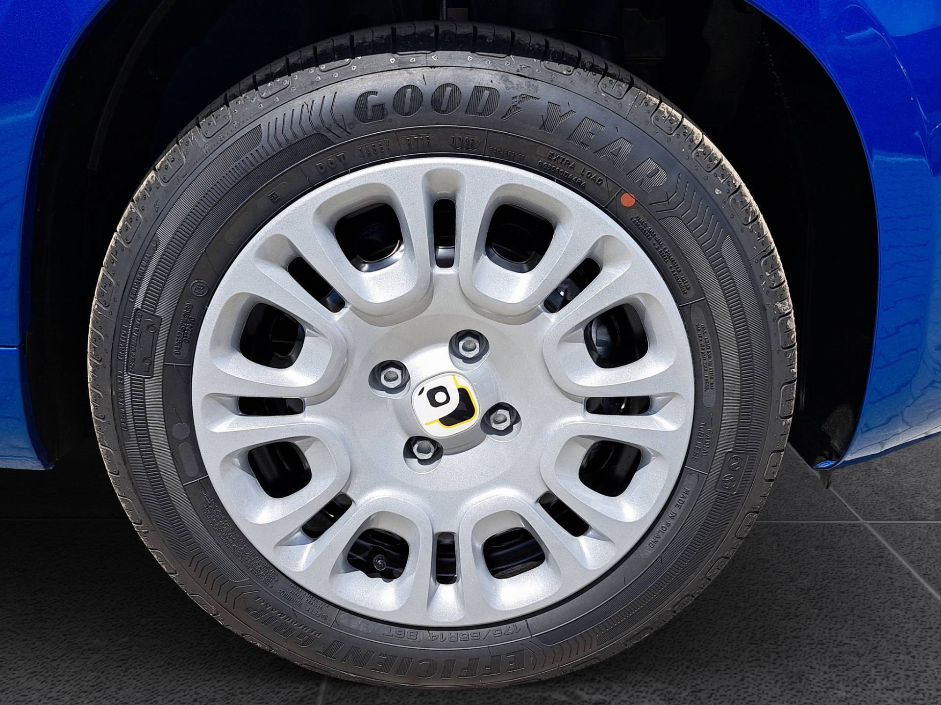FIAT Panda Pandina 1.0 firefly hybrid Icon s&s 65cv 5p.ti usata in pronta consegna - Brandini