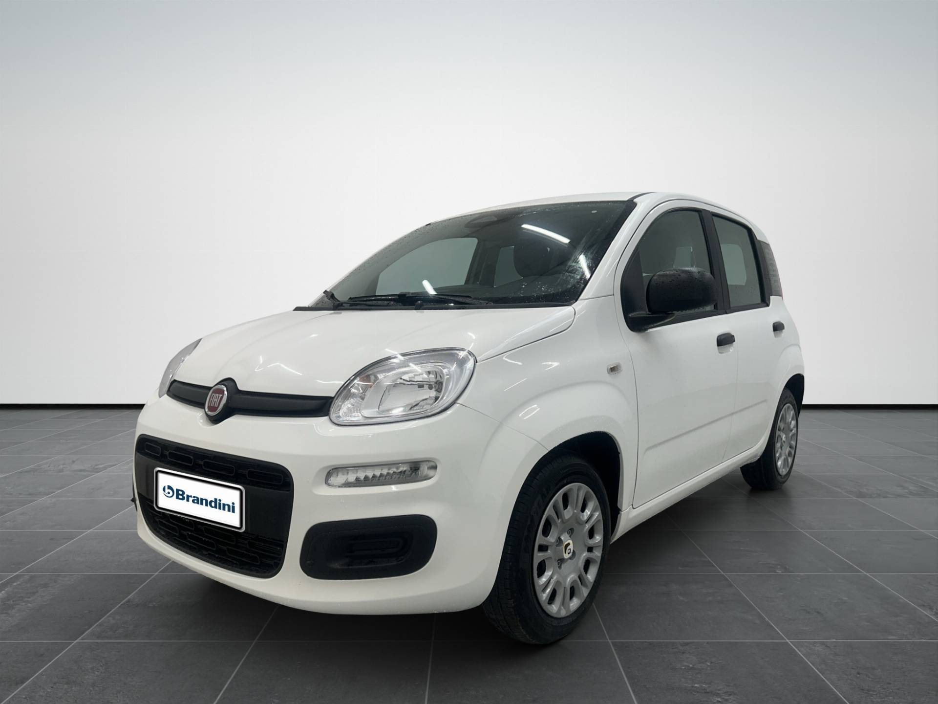 FIAT Panda Pandina 1.0 firefly hybrid Icon s&s 65cv 5p.ti usata in pronta consegna - Brandini
