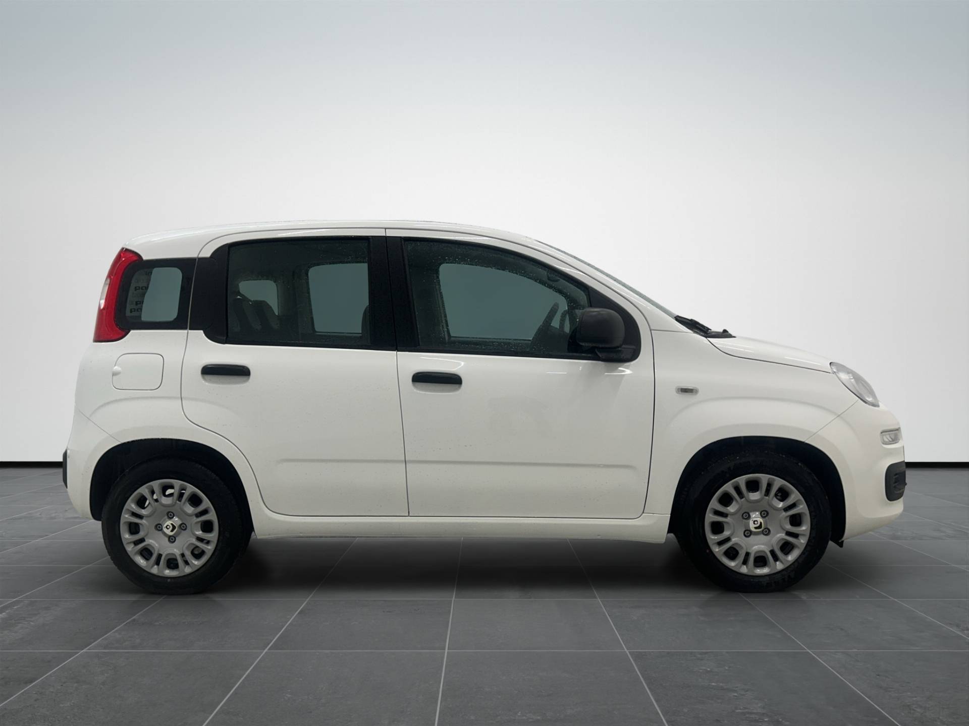 FIAT Panda Pandina 1.0 firefly hybrid Icon s&s 65cv 5p.ti usata in pronta consegna - Brandini