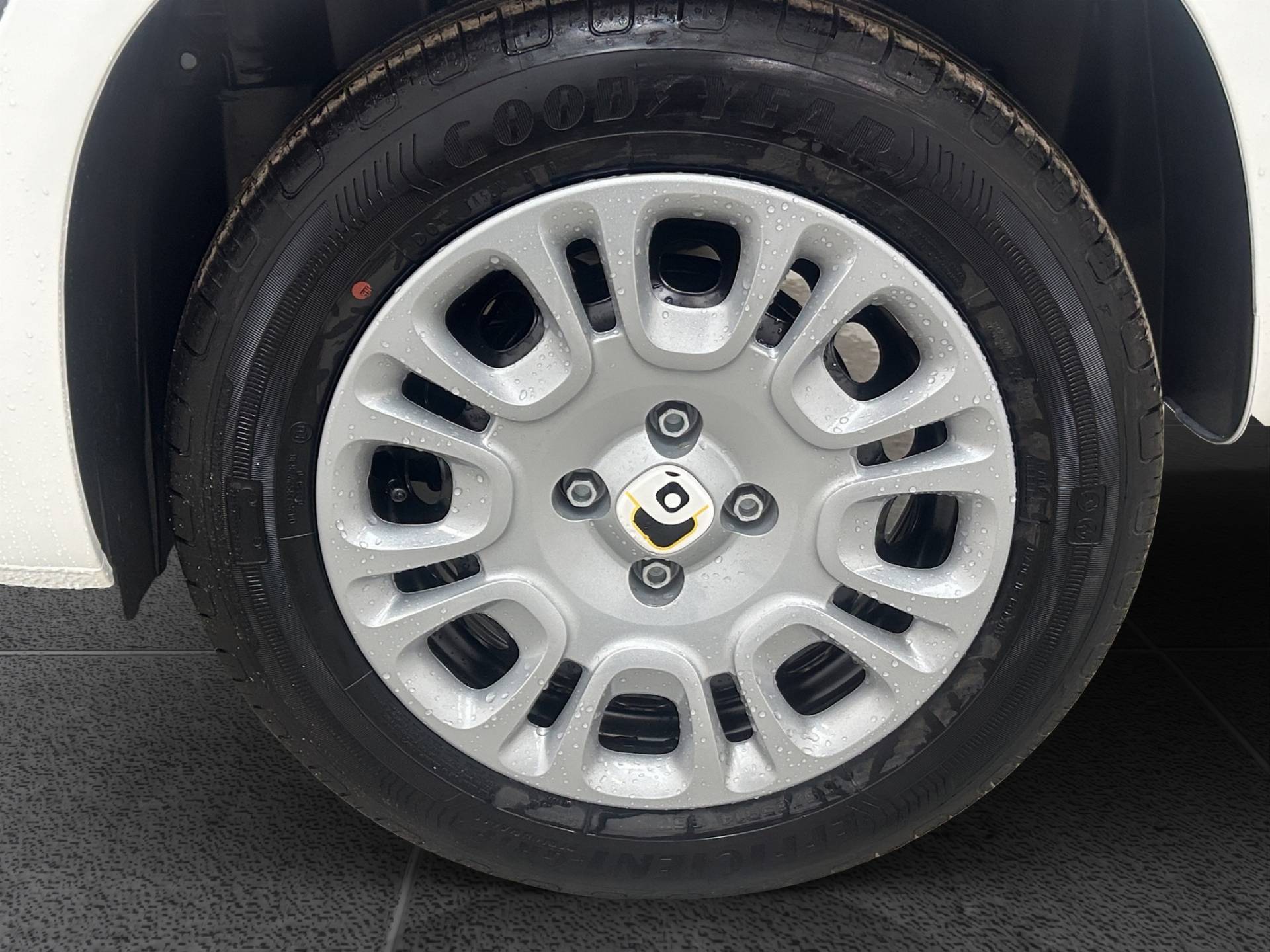 FIAT Panda Pandina 1.0 firefly hybrid Icon s&s 65cv 5p.ti usata in pronta consegna - Brandini