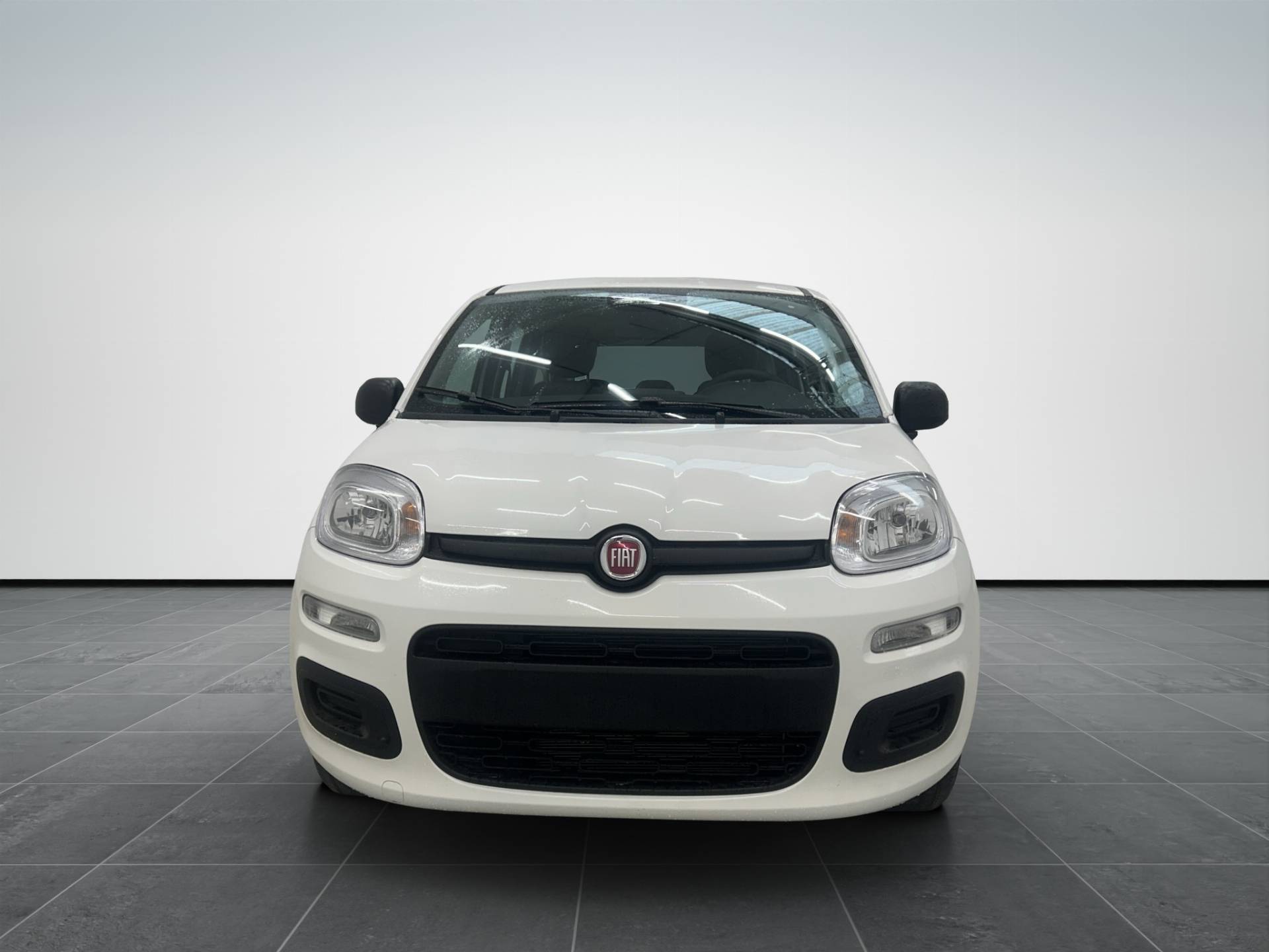 FIAT Panda Pandina 1.0 firefly hybrid Icon s&s 65cv 5p.ti usata in pronta consegna - Brandini