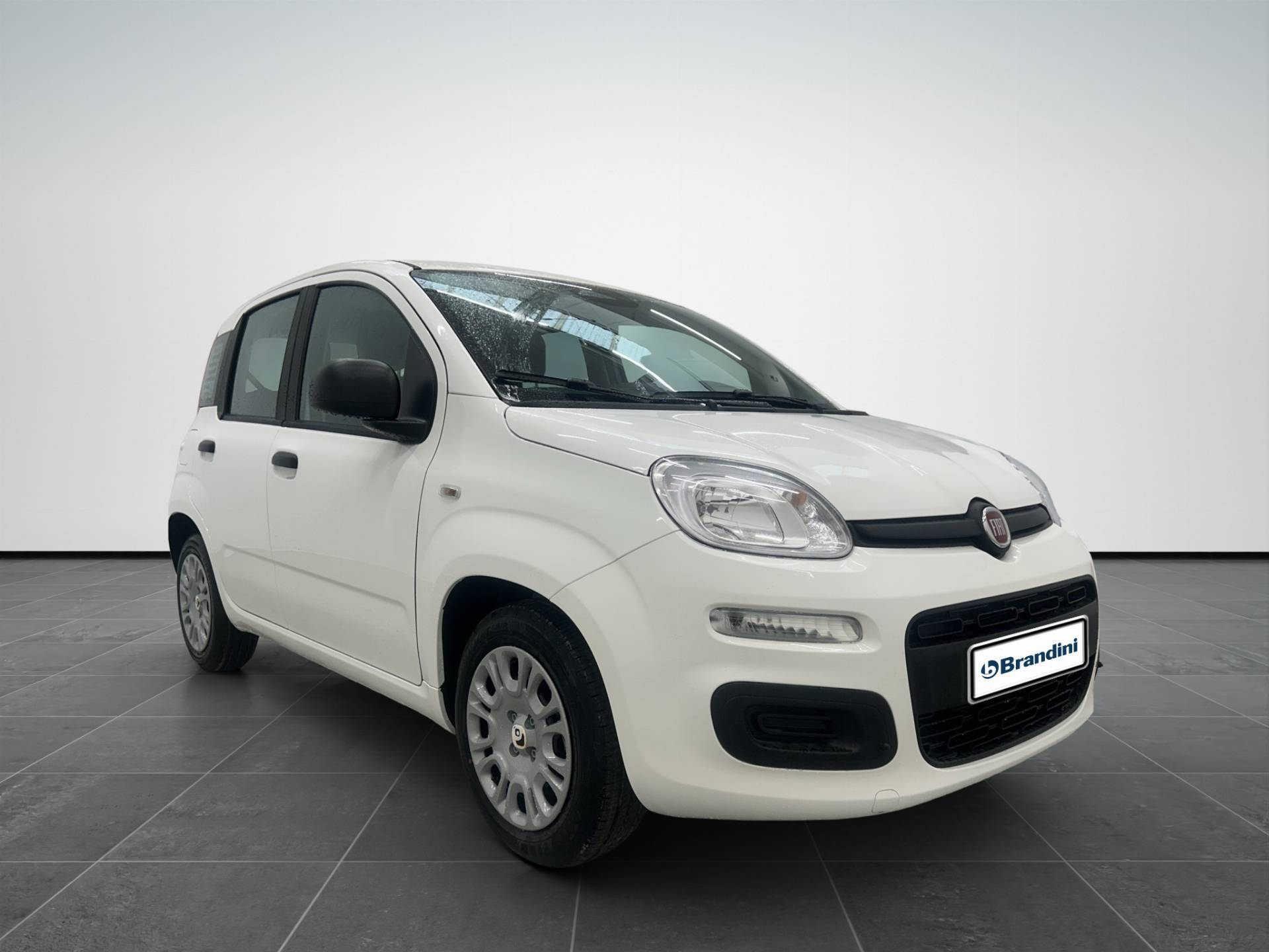 FIAT Panda Pandina 1.0 firefly hybrid Icon s&s 65cv 5p.ti usata in pronta consegna - Brandini