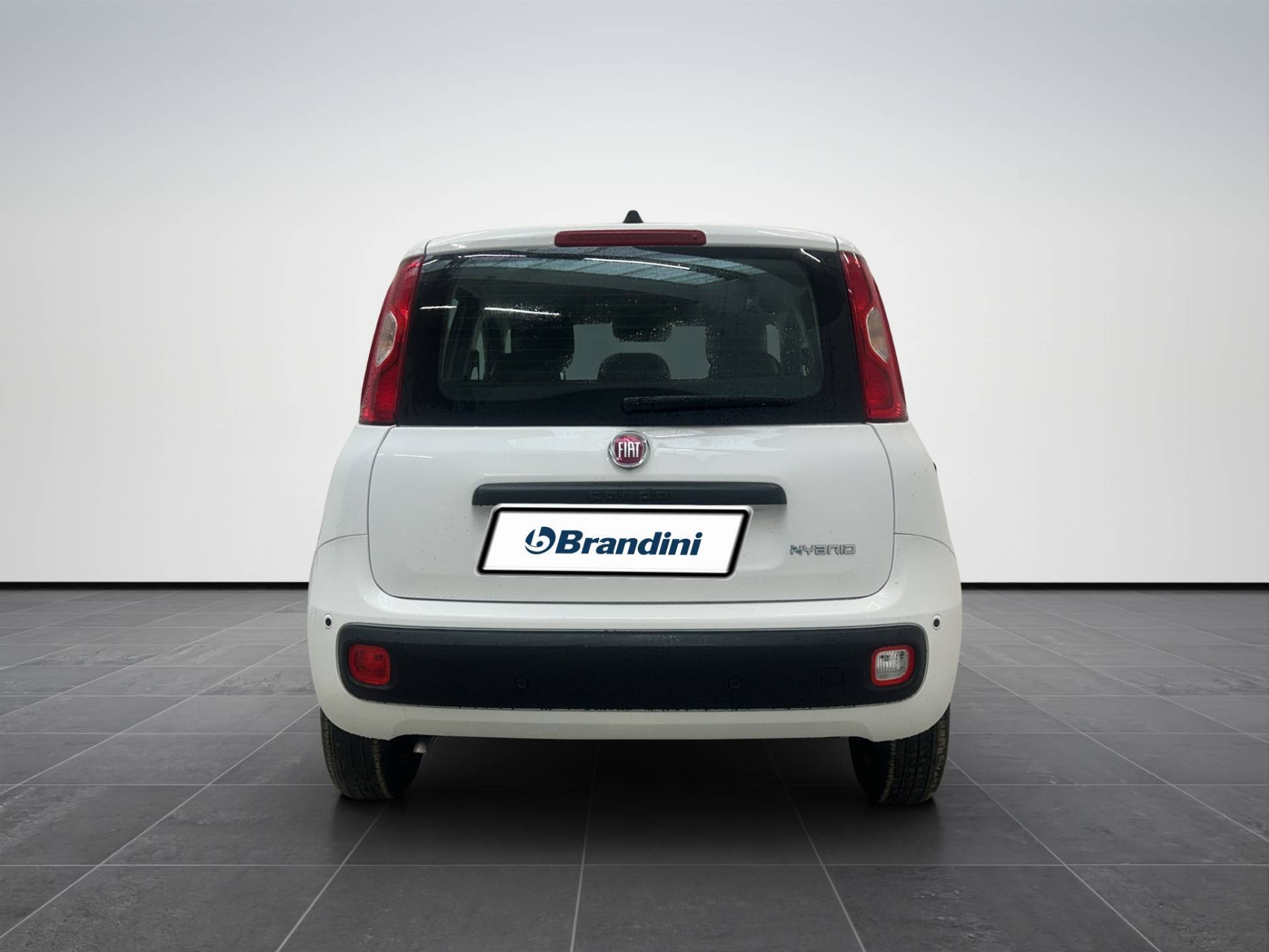 FIAT Panda Pandina 1.0 firefly hybrid Icon s&s 65cv 5p.ti usata in pronta consegna - Brandini