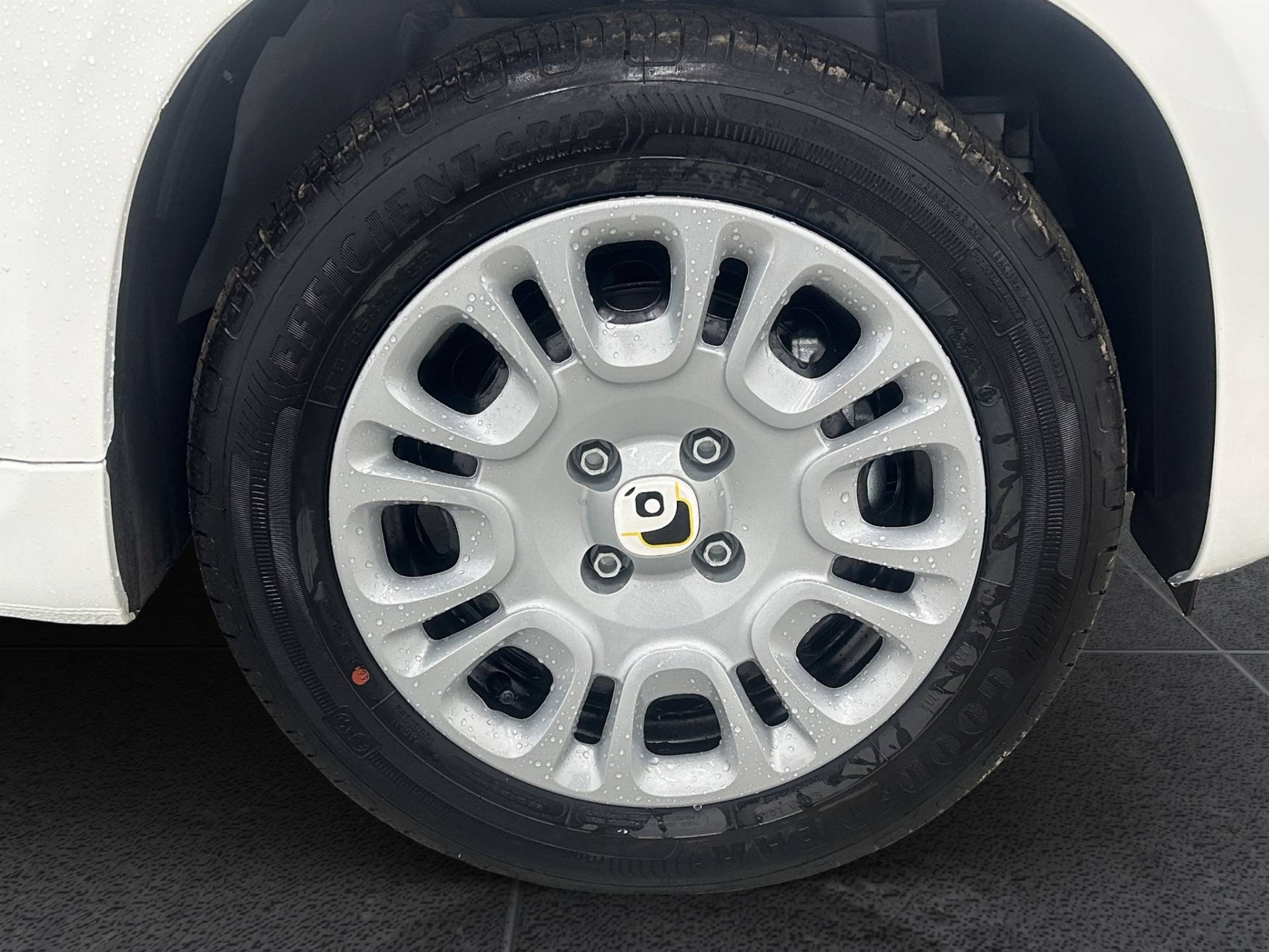 FIAT Panda Pandina 1.0 firefly hybrid Icon s&s 65cv 5p.ti usata in pronta consegna - Brandini