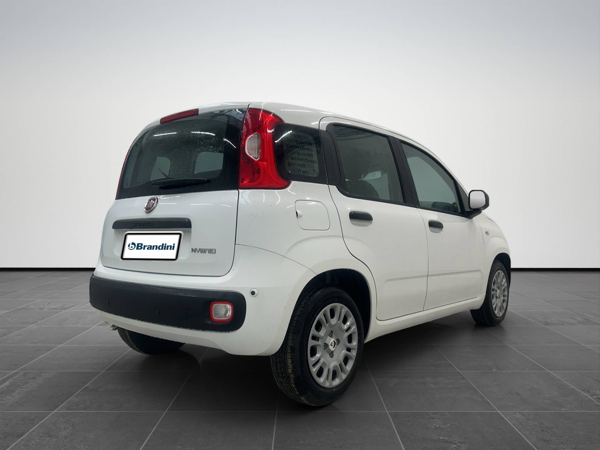 FIAT Panda Pandina 1.0 firefly hybrid Icon s&s 65cv 5p.ti usata in pronta consegna - Brandini